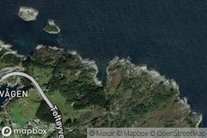 Svartvika