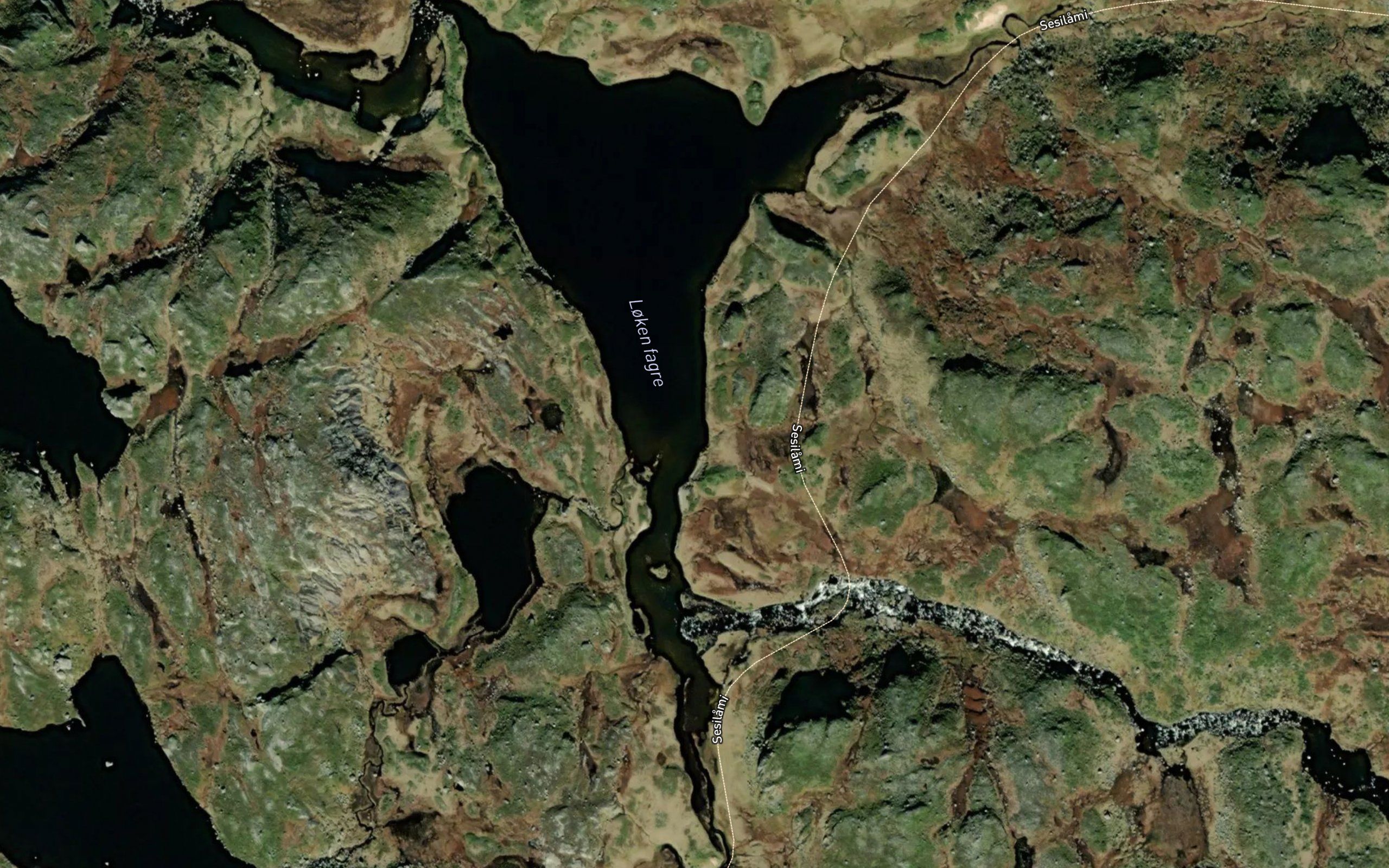 Lokjen fagre