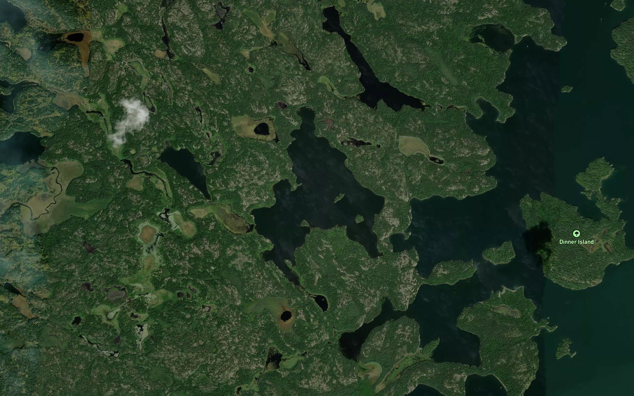Wake Lake