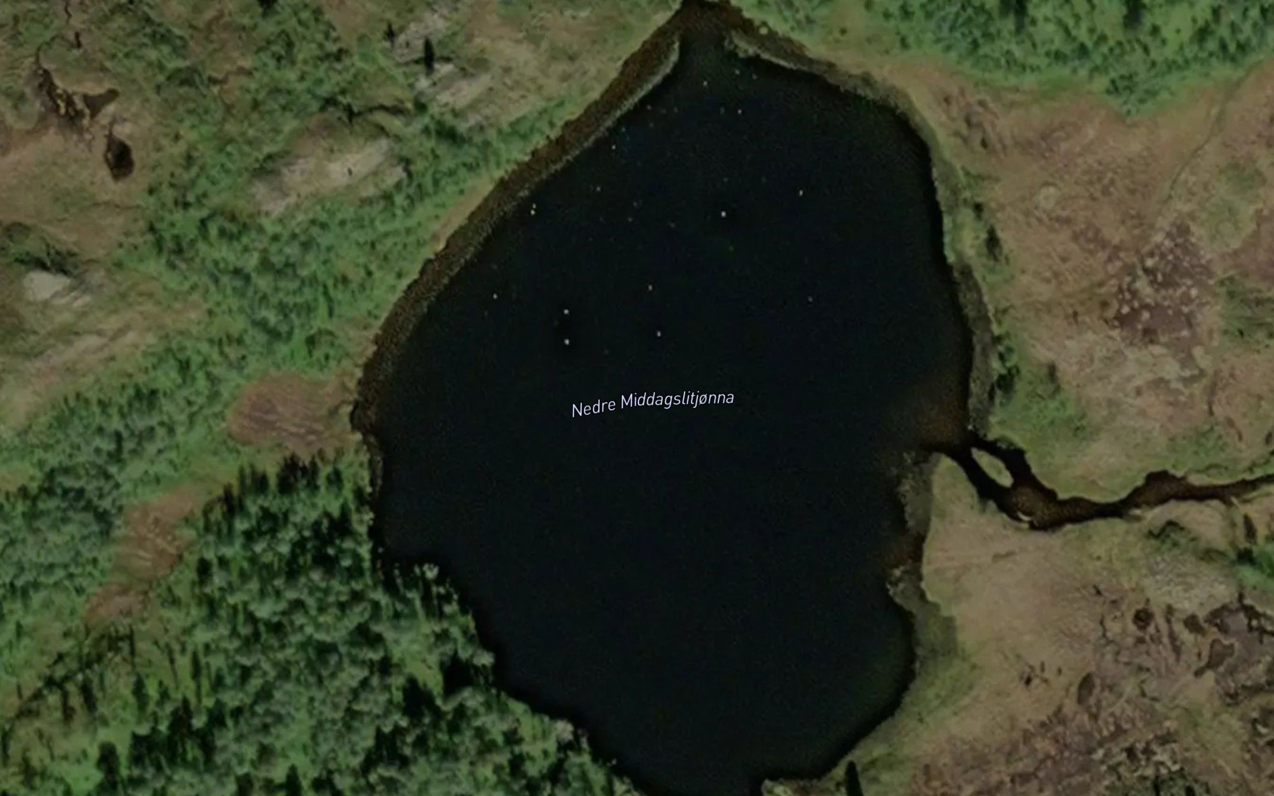 Middagslitjorna,nedre
