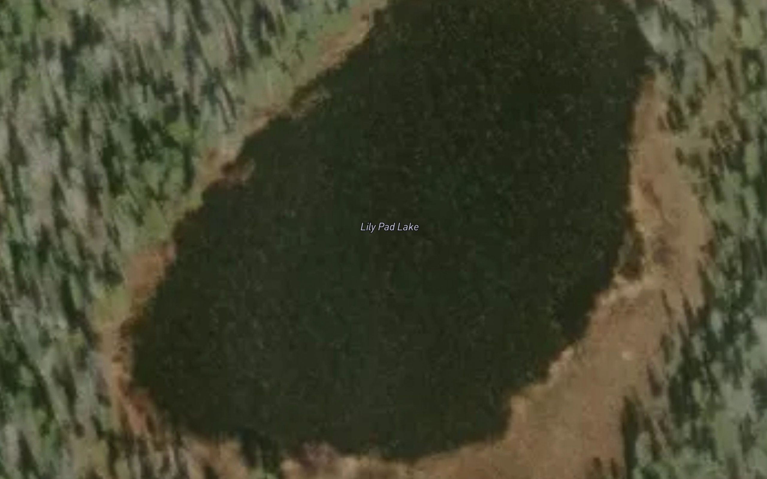 Lily Pad Lake