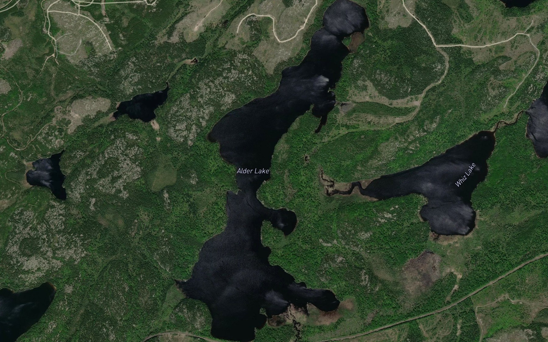 Satellite map of the Alder Lake