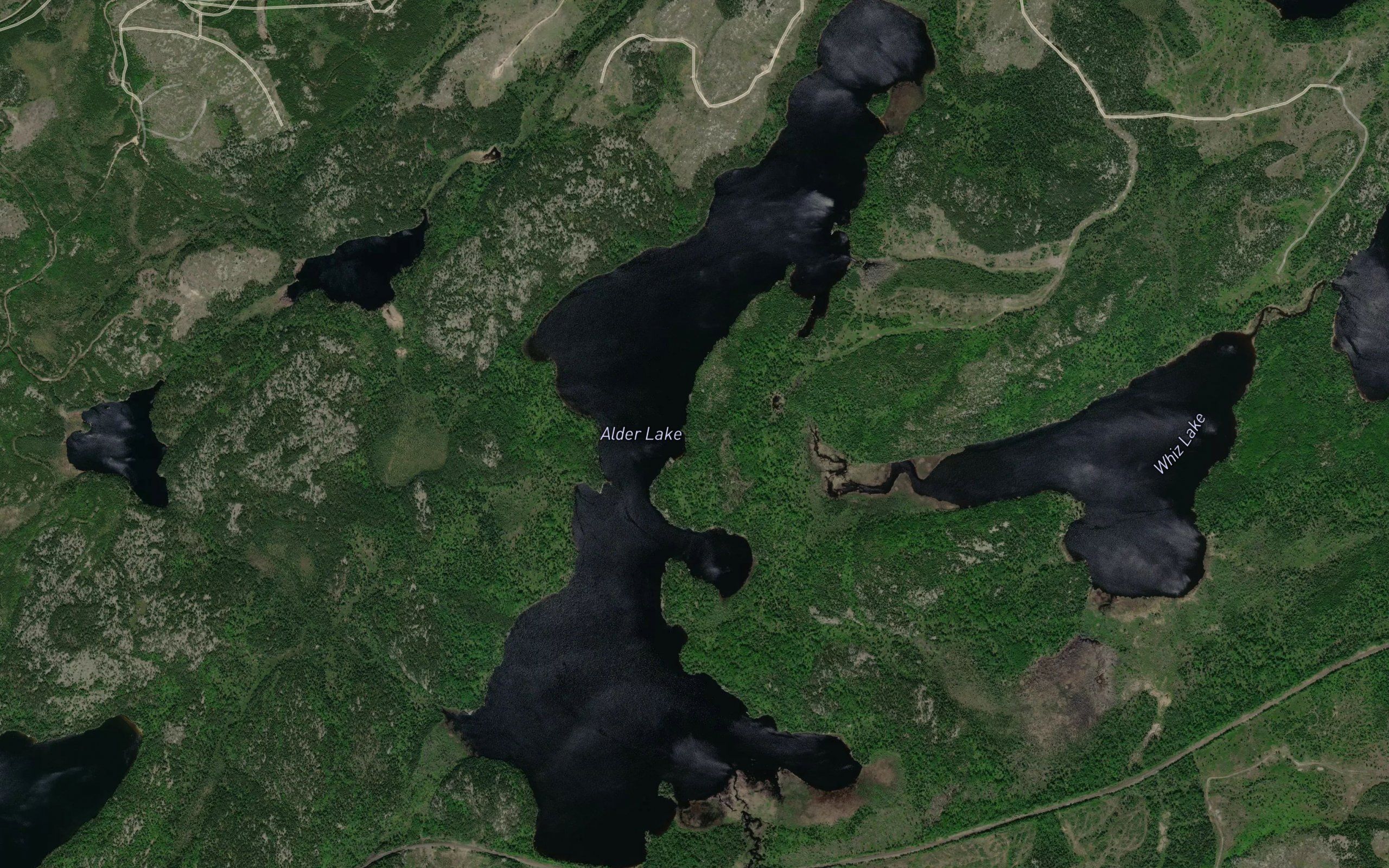 Alder Lake