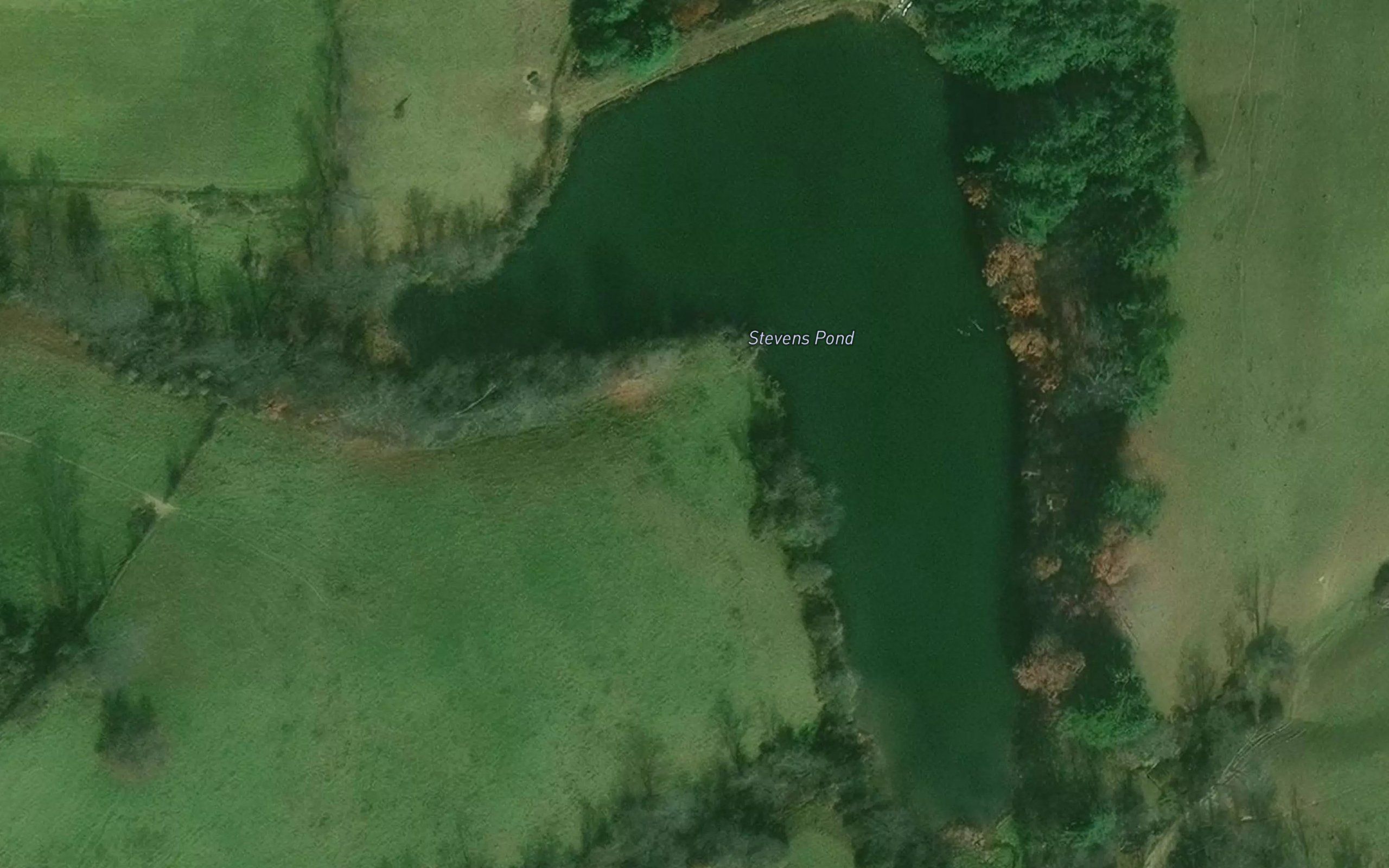 Stevens Pond