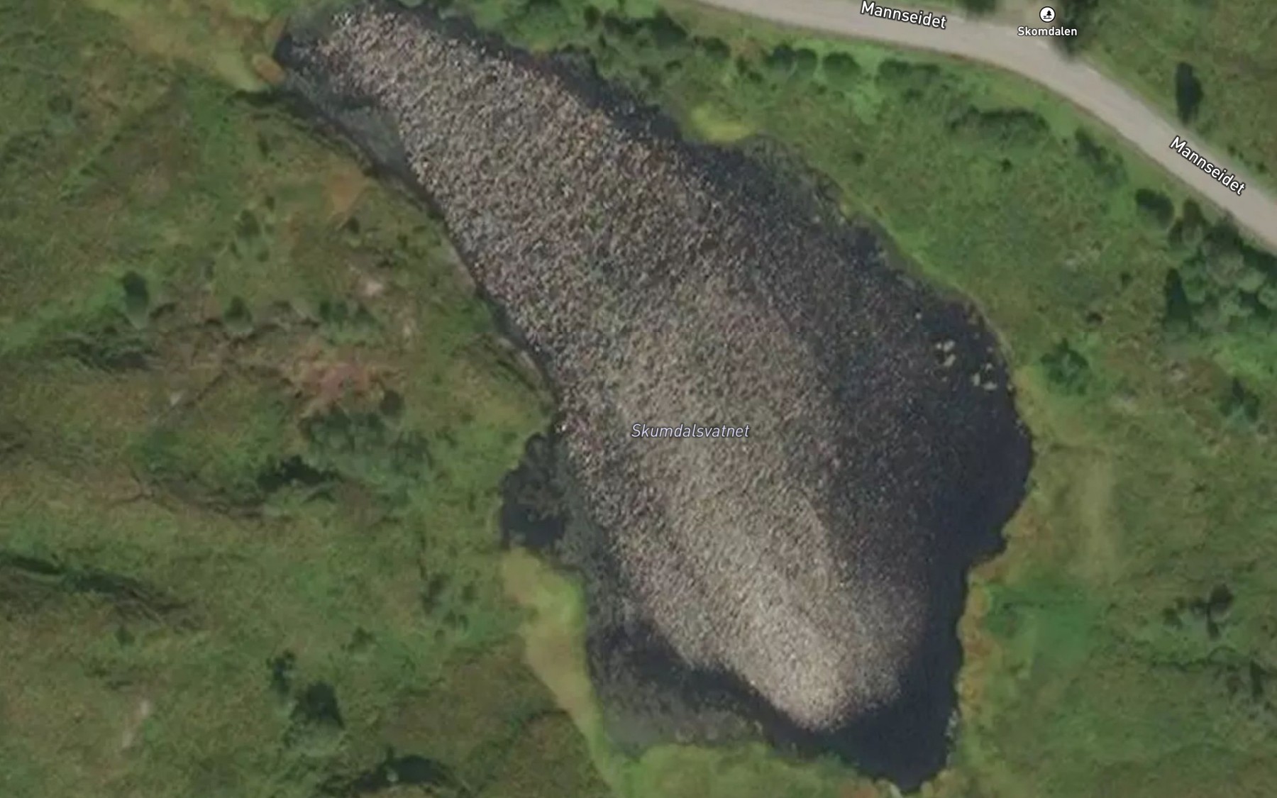 Satellite map of the Skumdalsvatnet