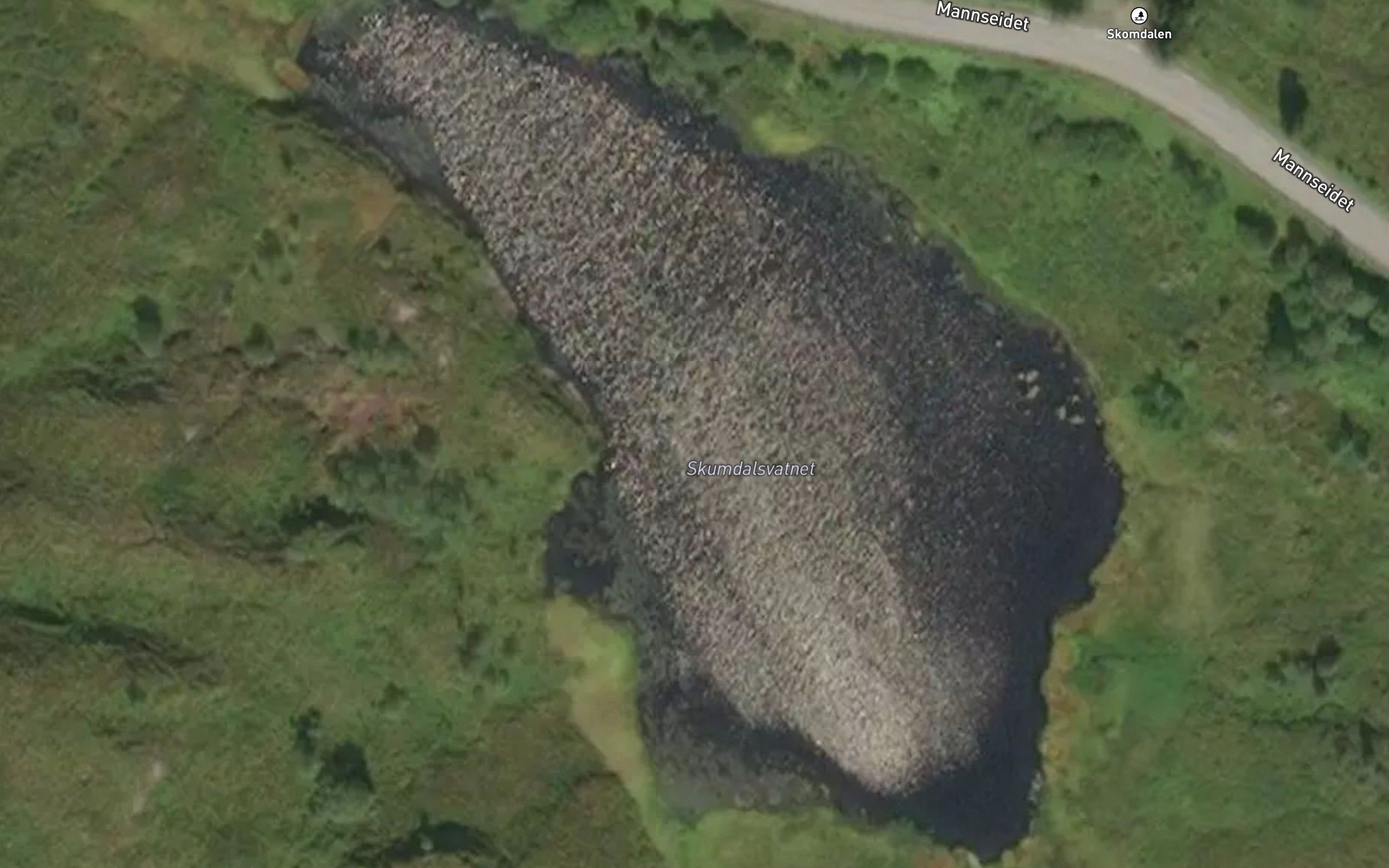 Skumdalsvatnet