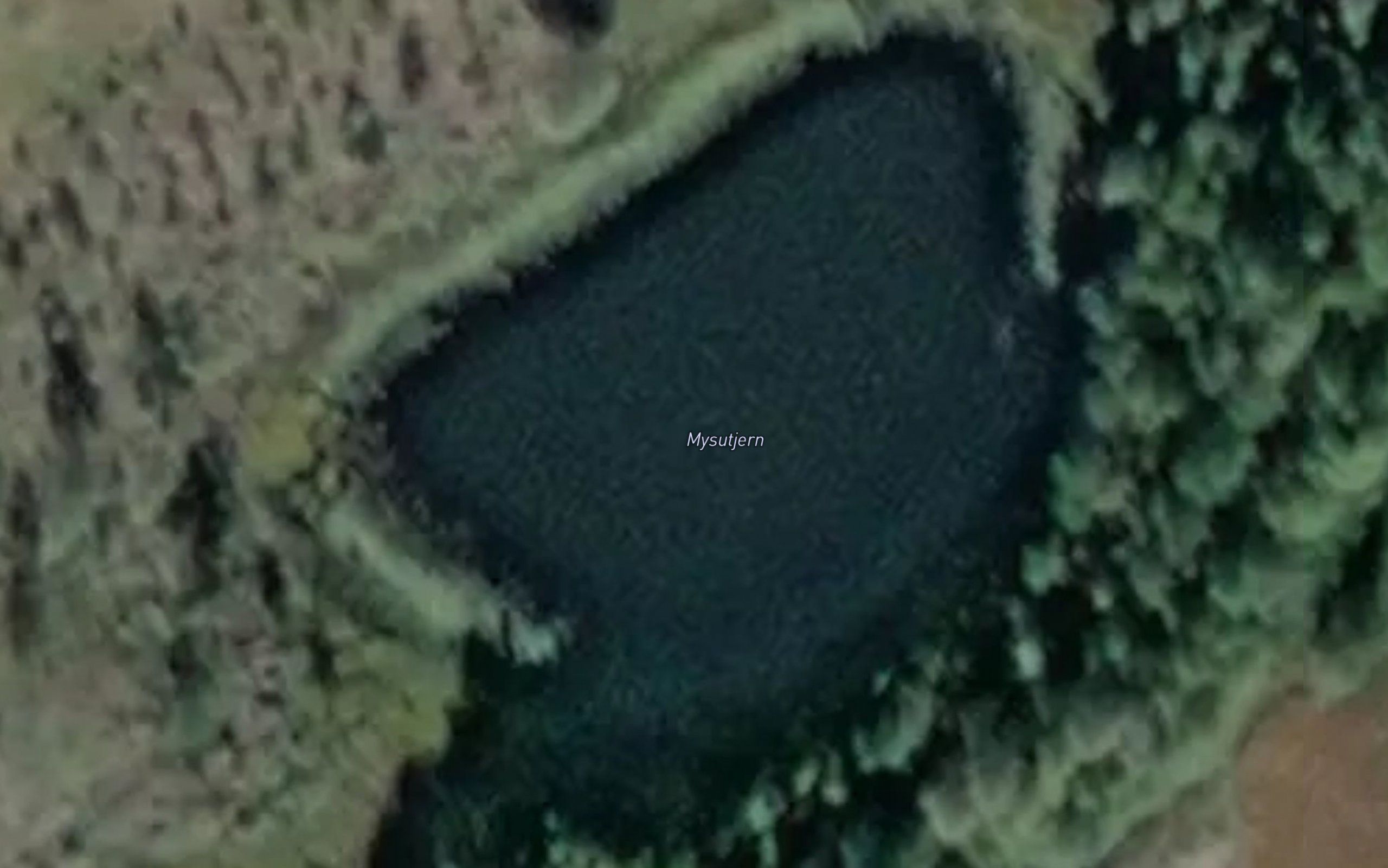 Mysutjern
