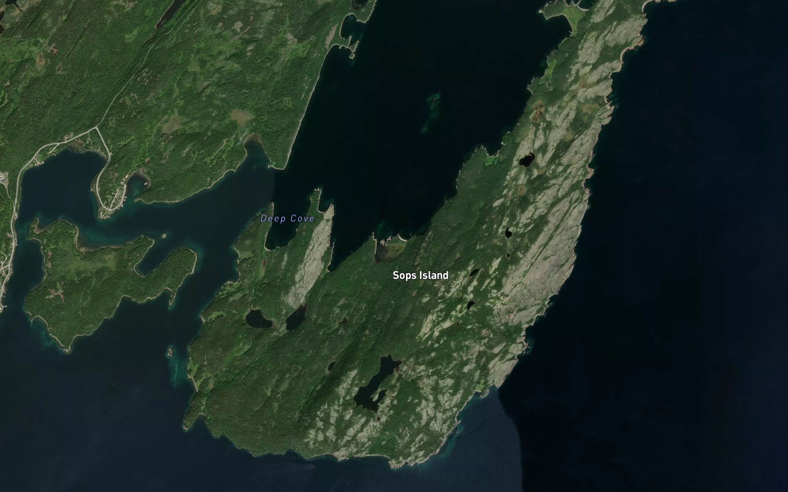 Saltwater Pond