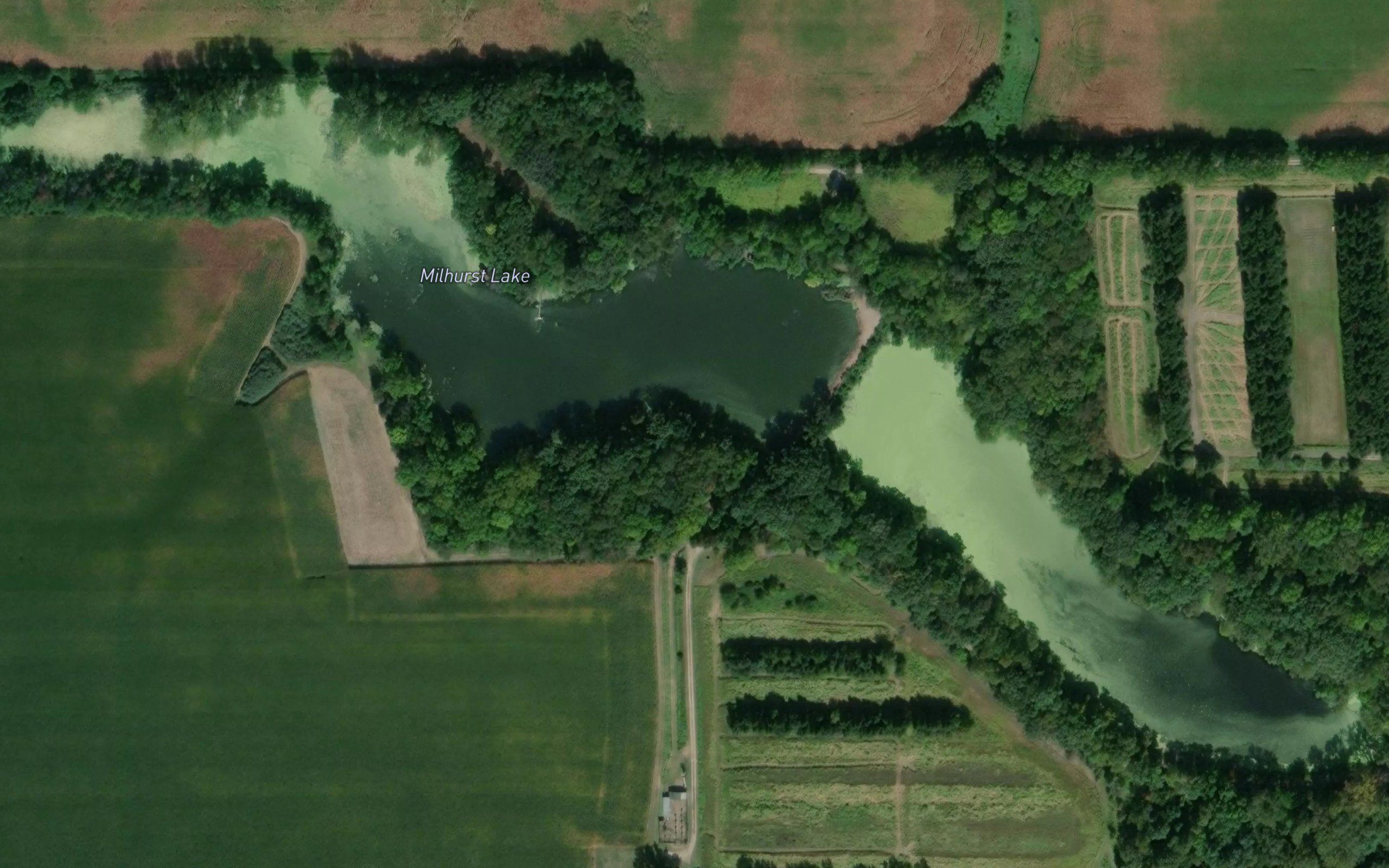 Milhurst Lake
