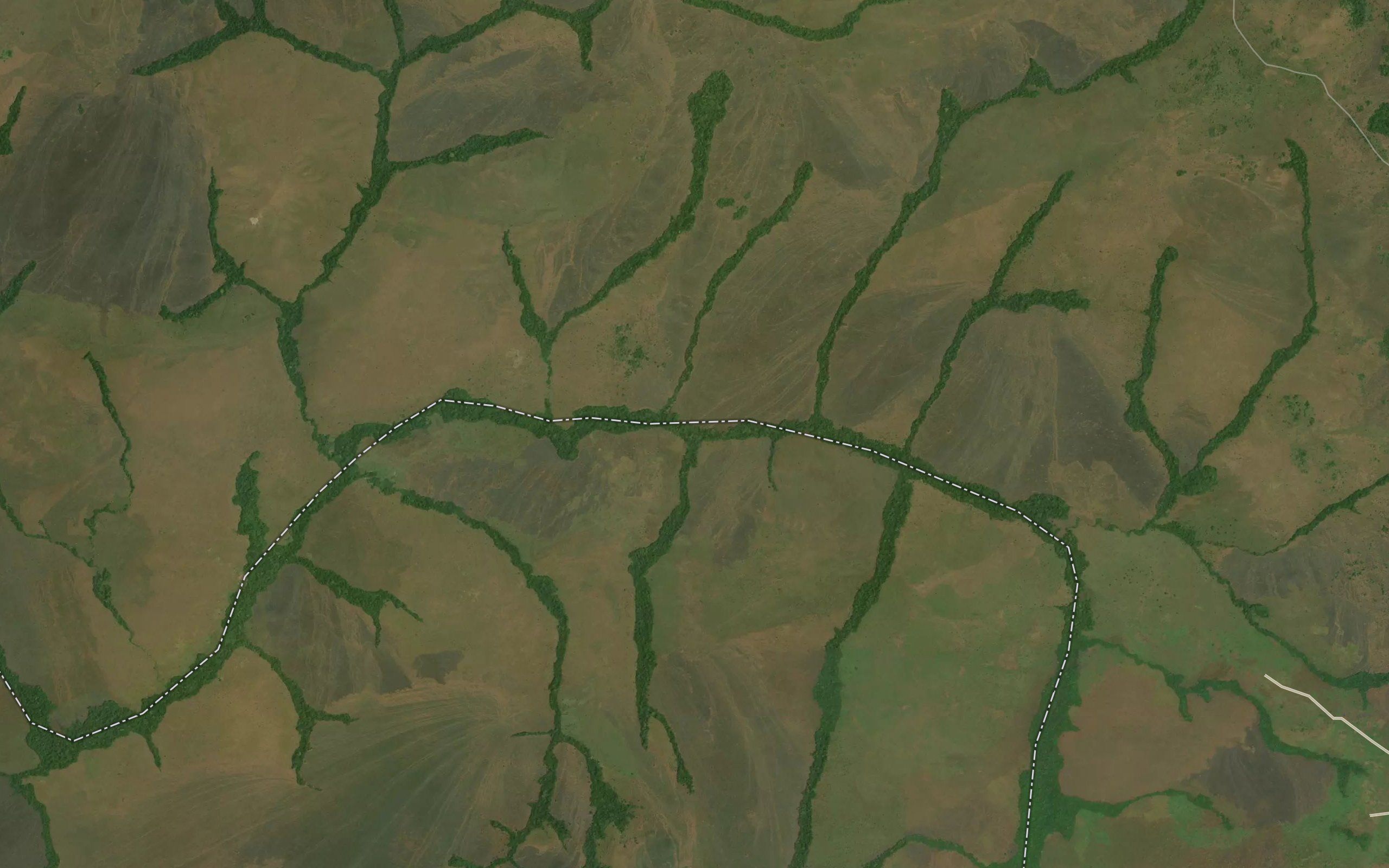 Guturu