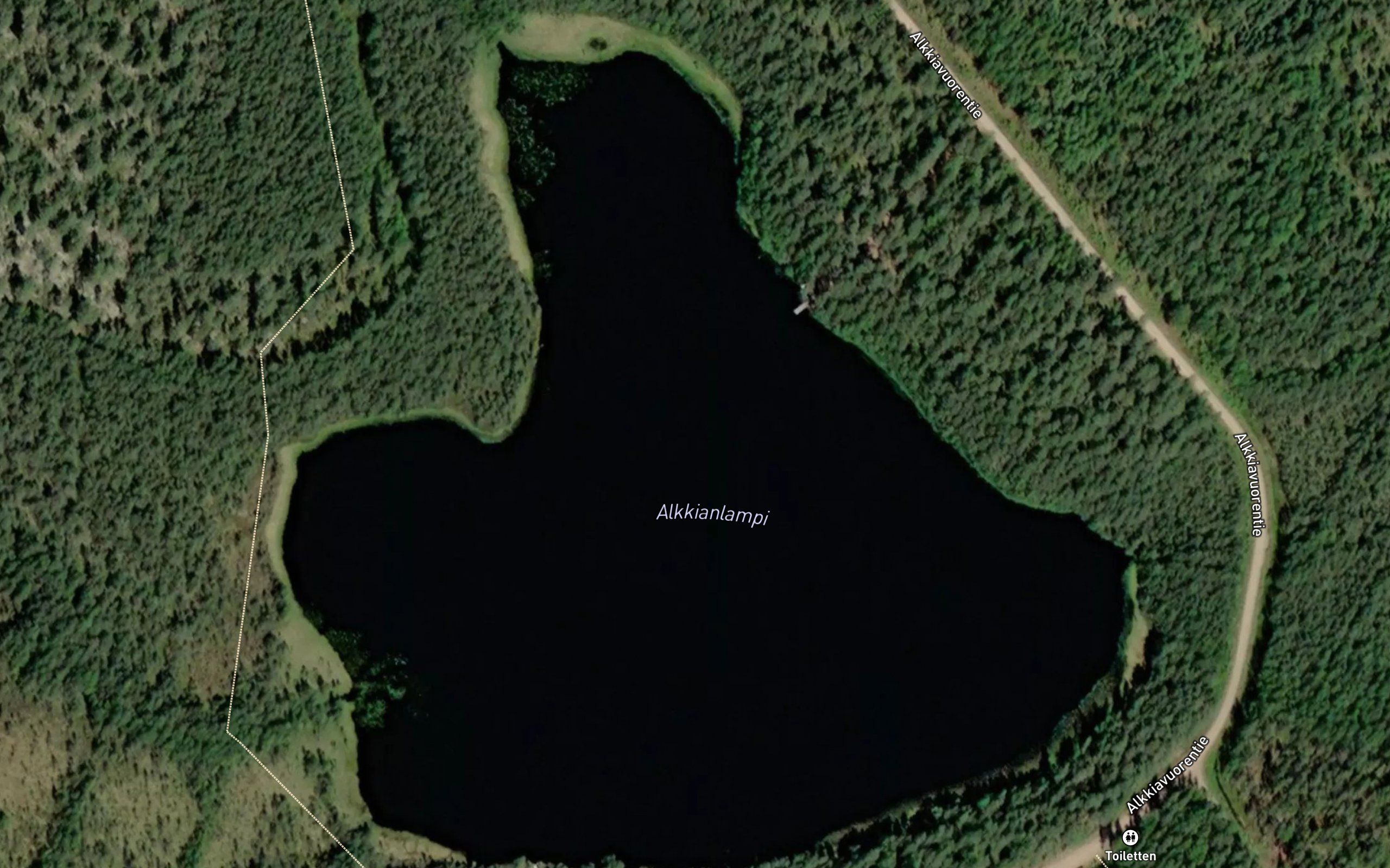 Alkkianlampi