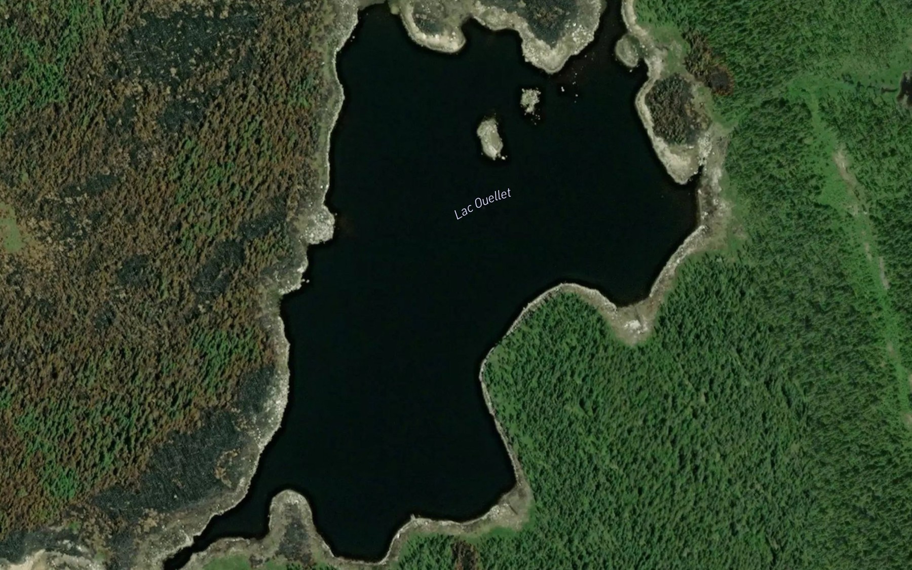 Satellite map of the Lac Ouellet