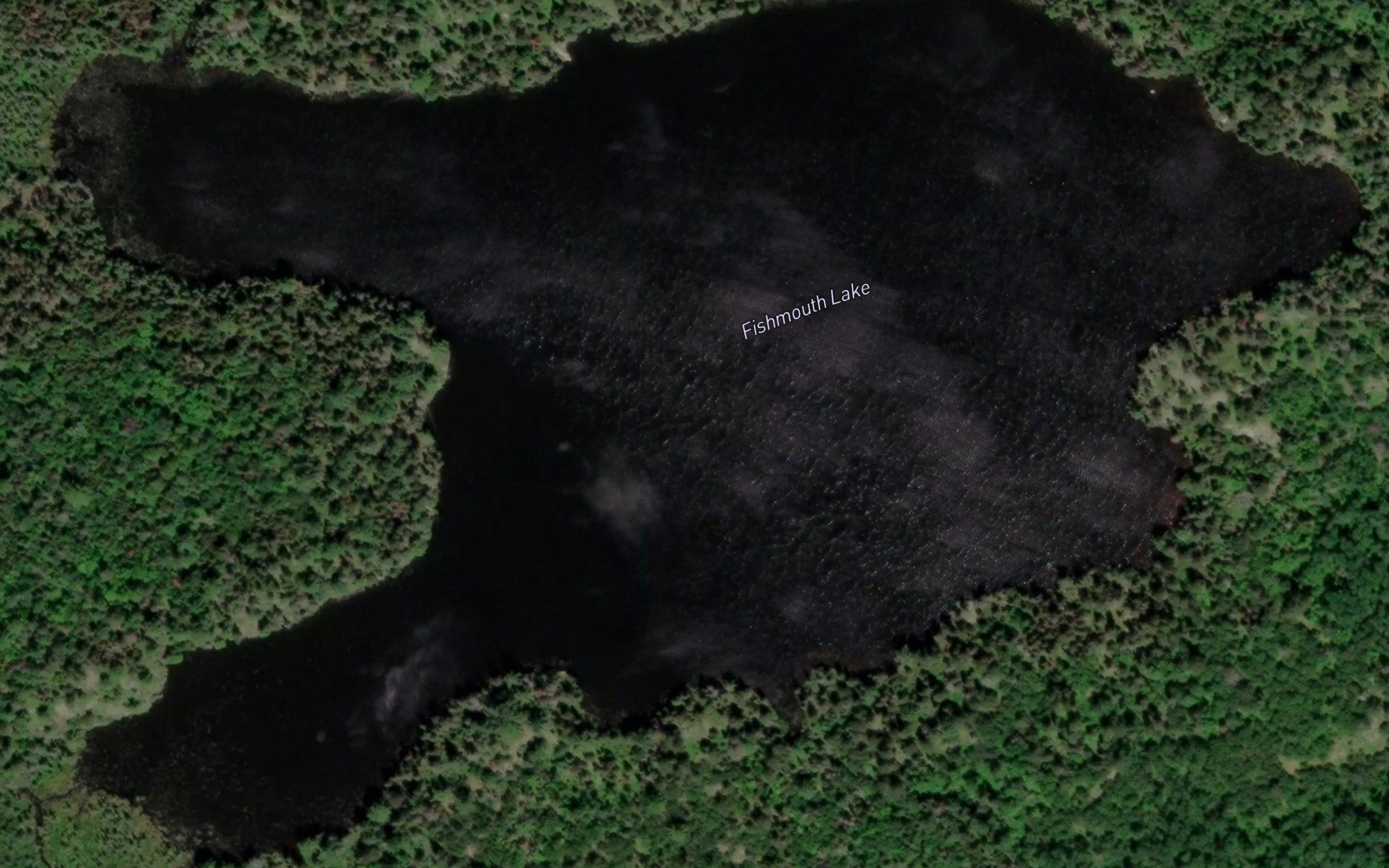 Fishmouth Lake
