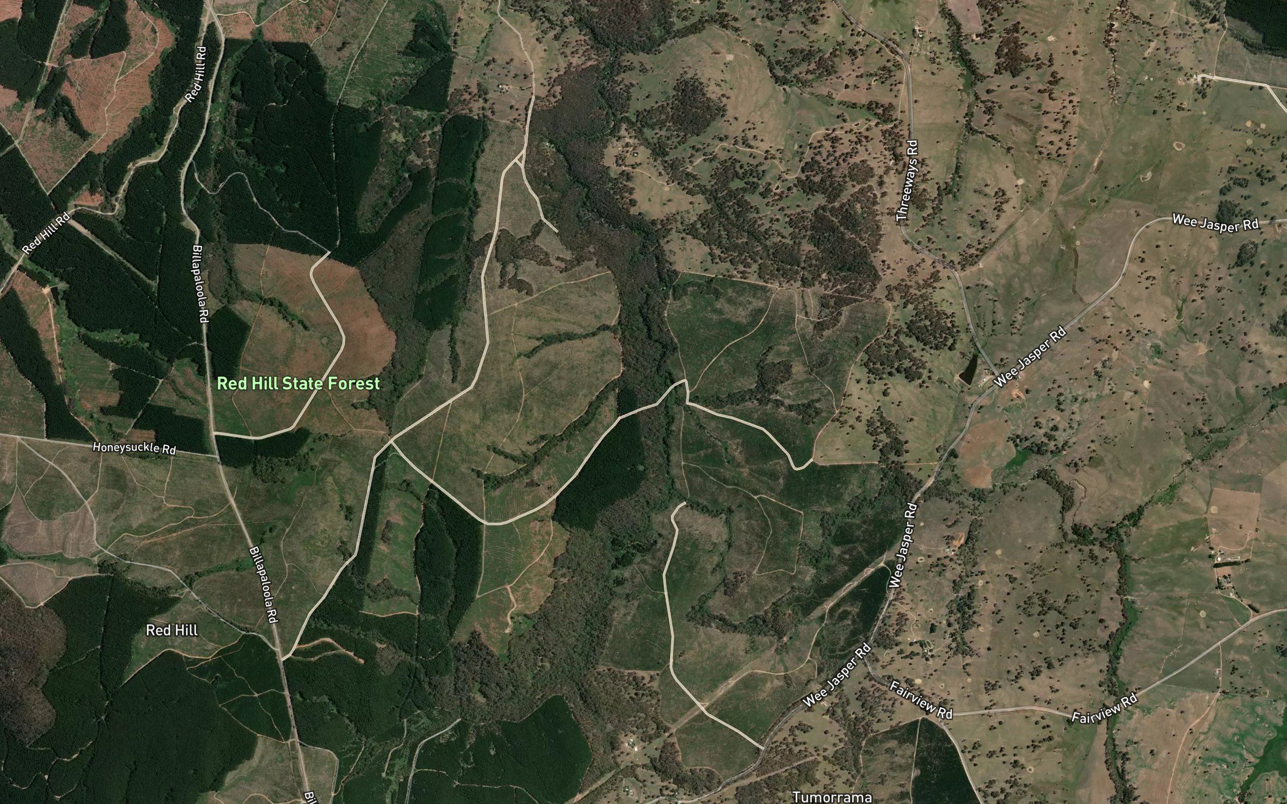 Sodwall Gully