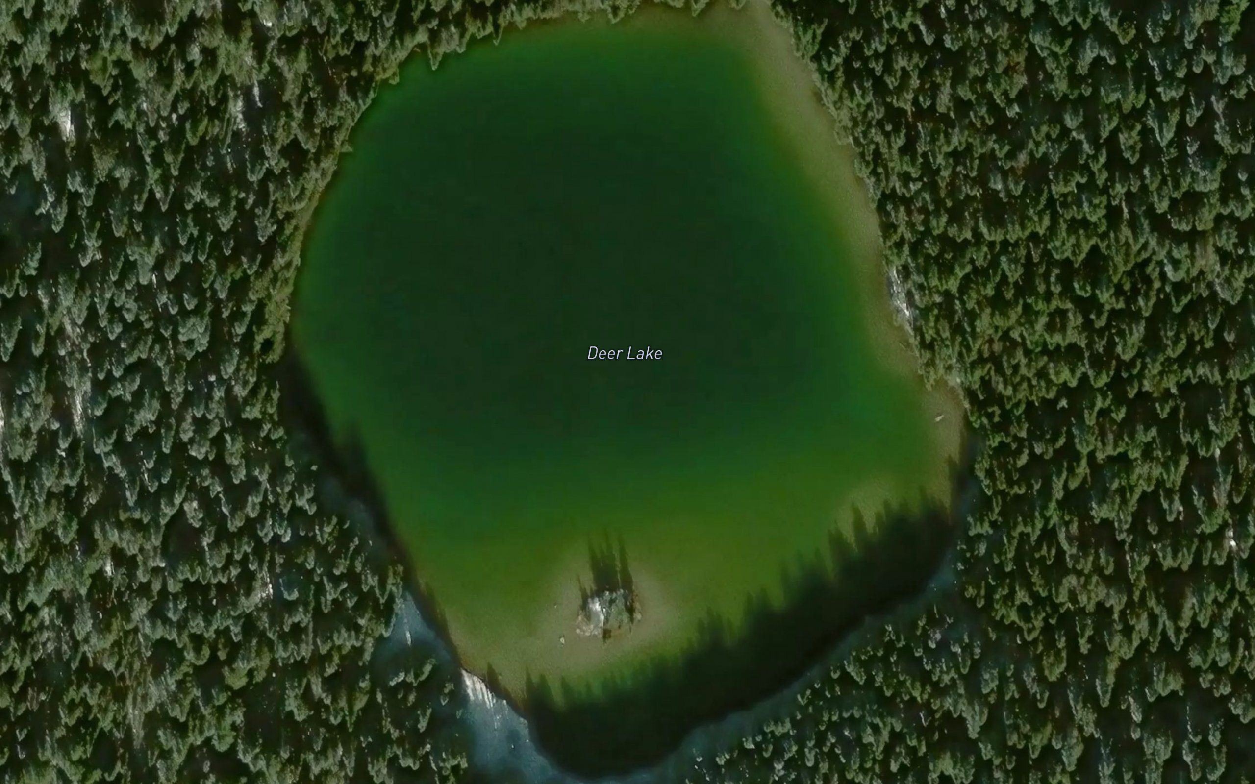Deer Lake