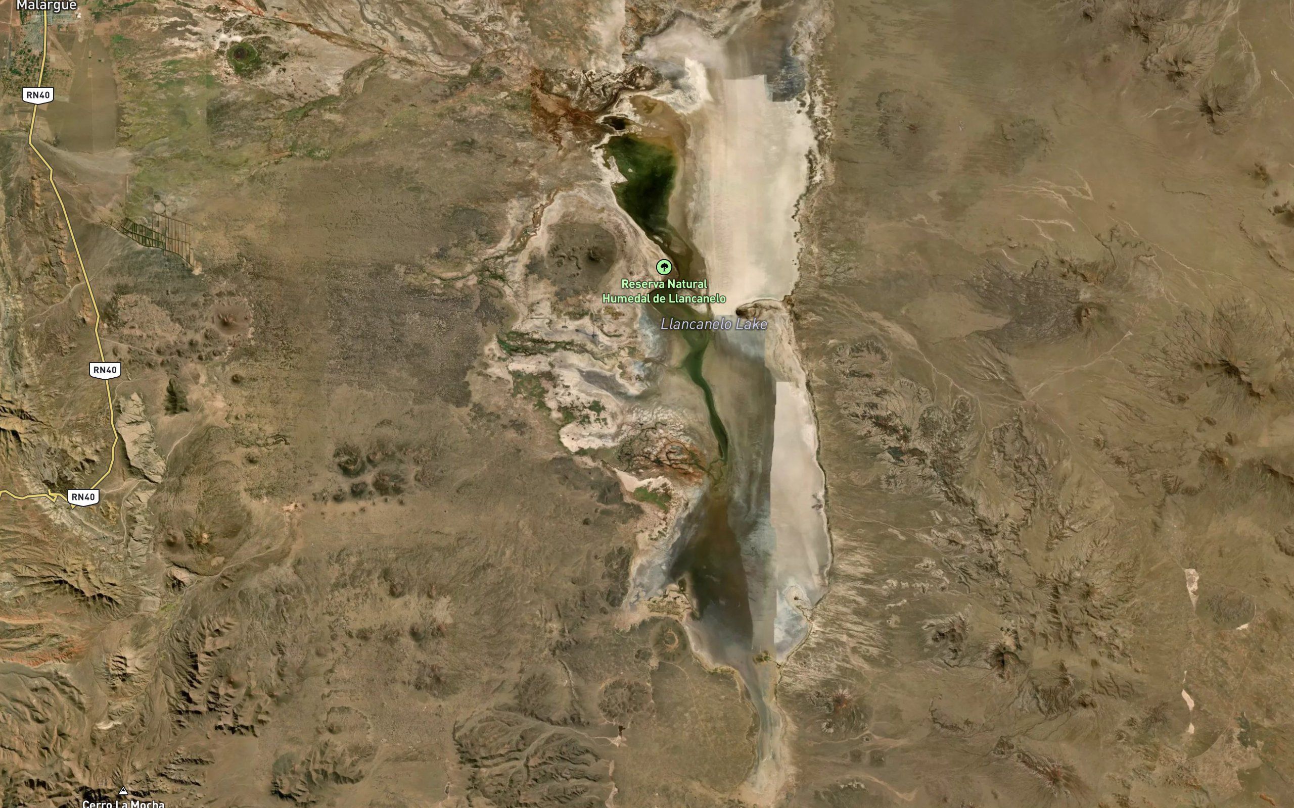 Laguna Llancanelo