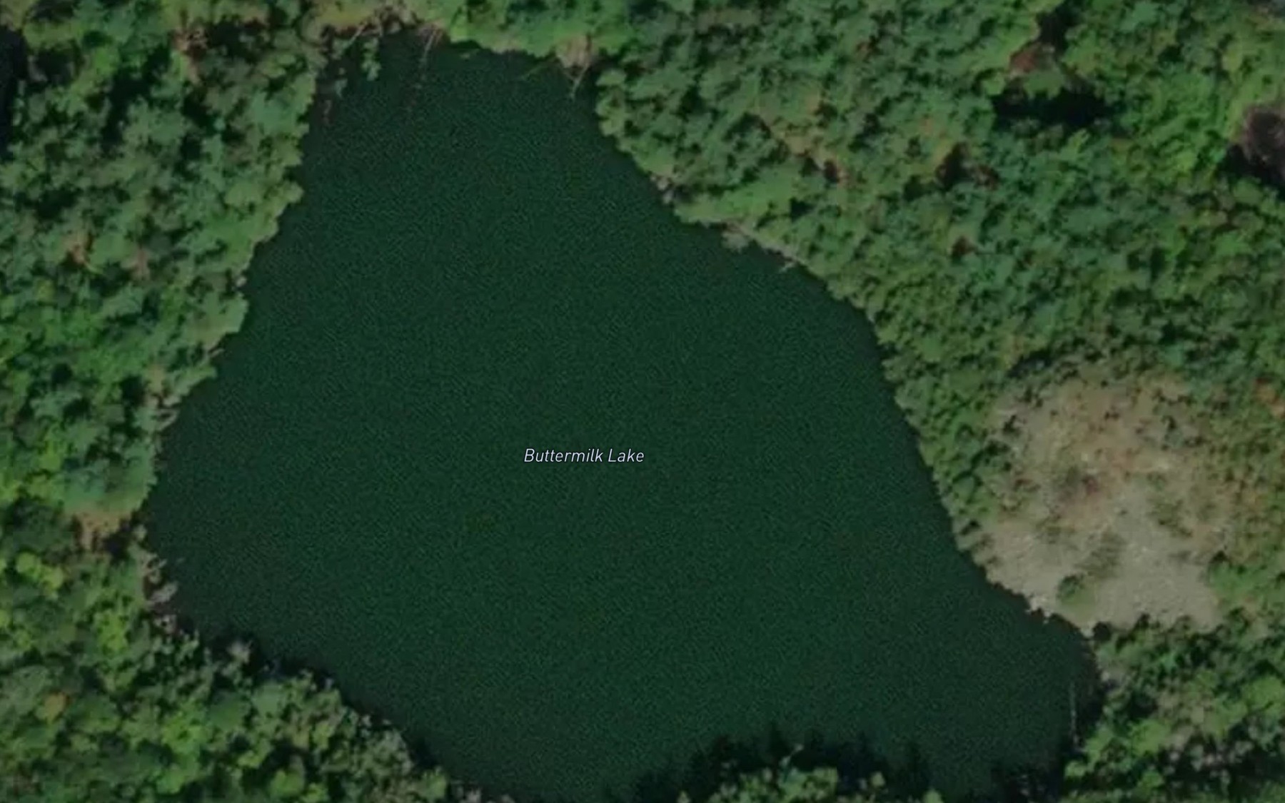 Satellite map of the Buttermilk Lake