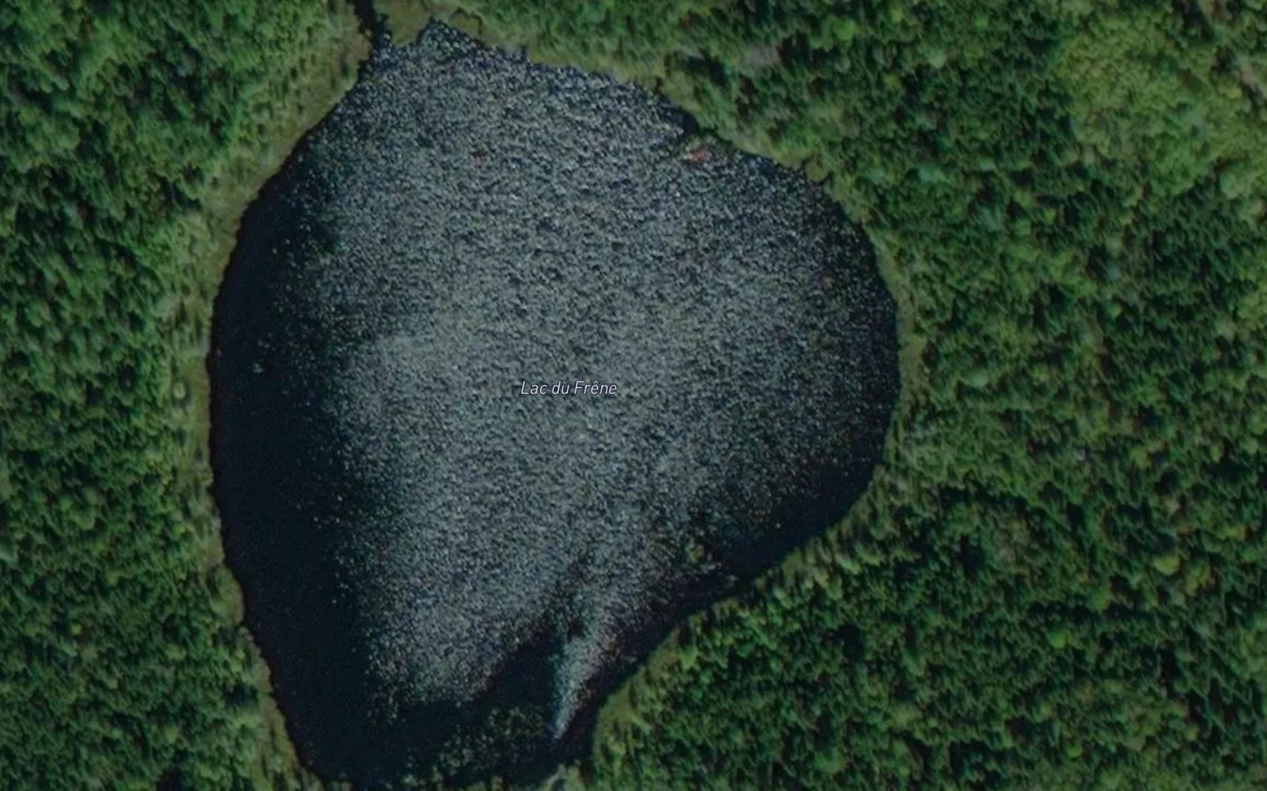 Satellite map of the Lac du Frene