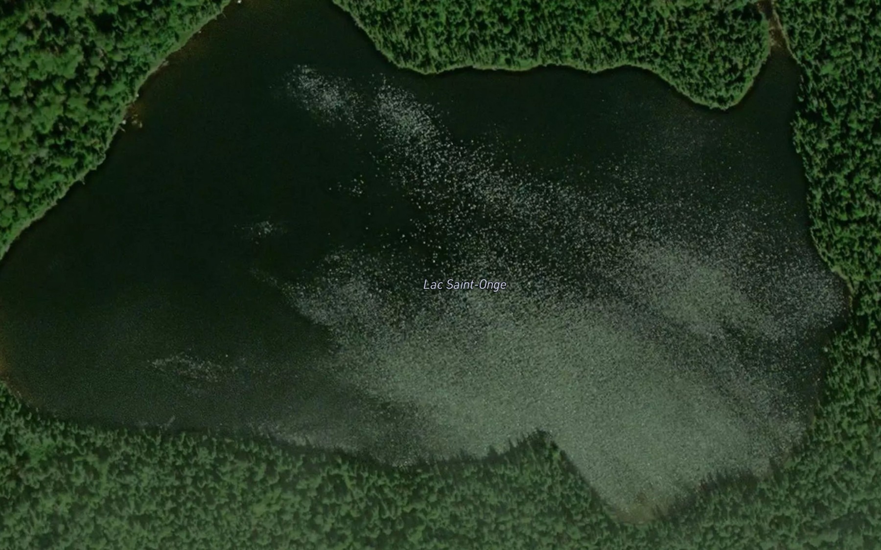 Satellite map of the Lac Saint-Onge
