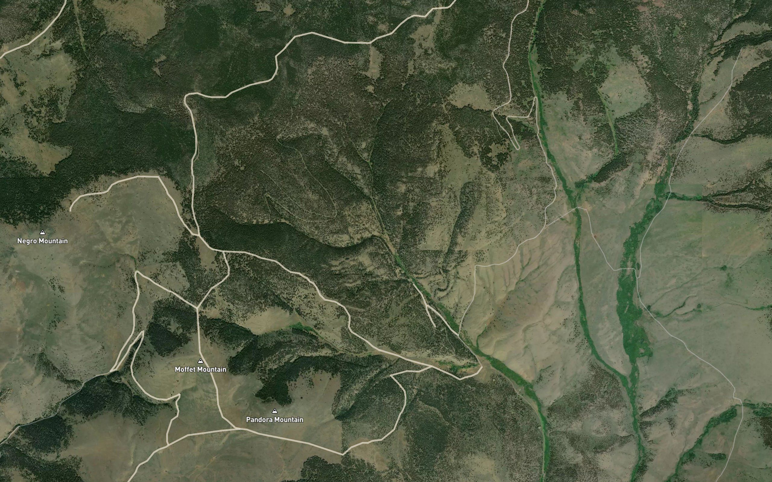 Blacktail Creek