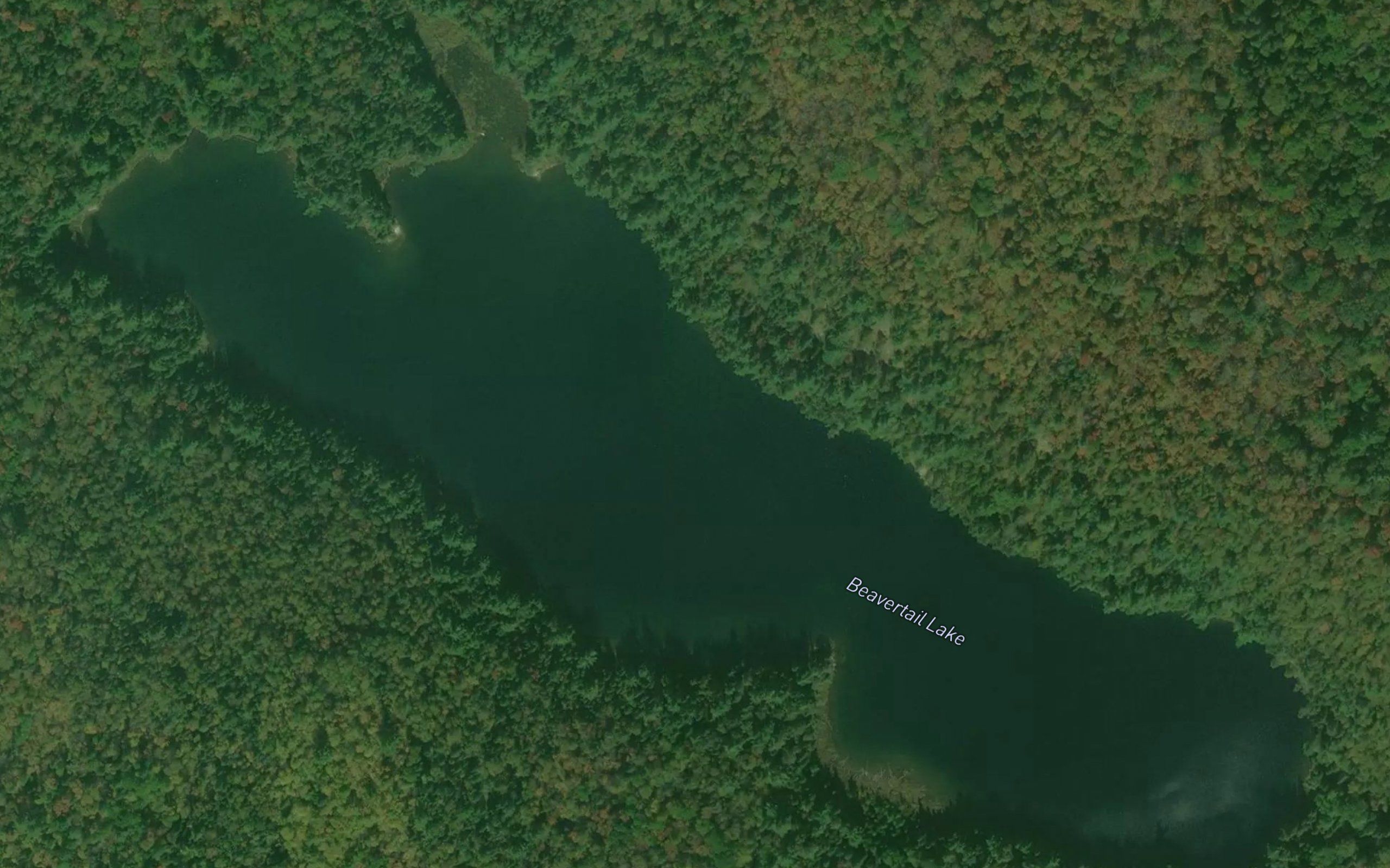 Beavertail Lake