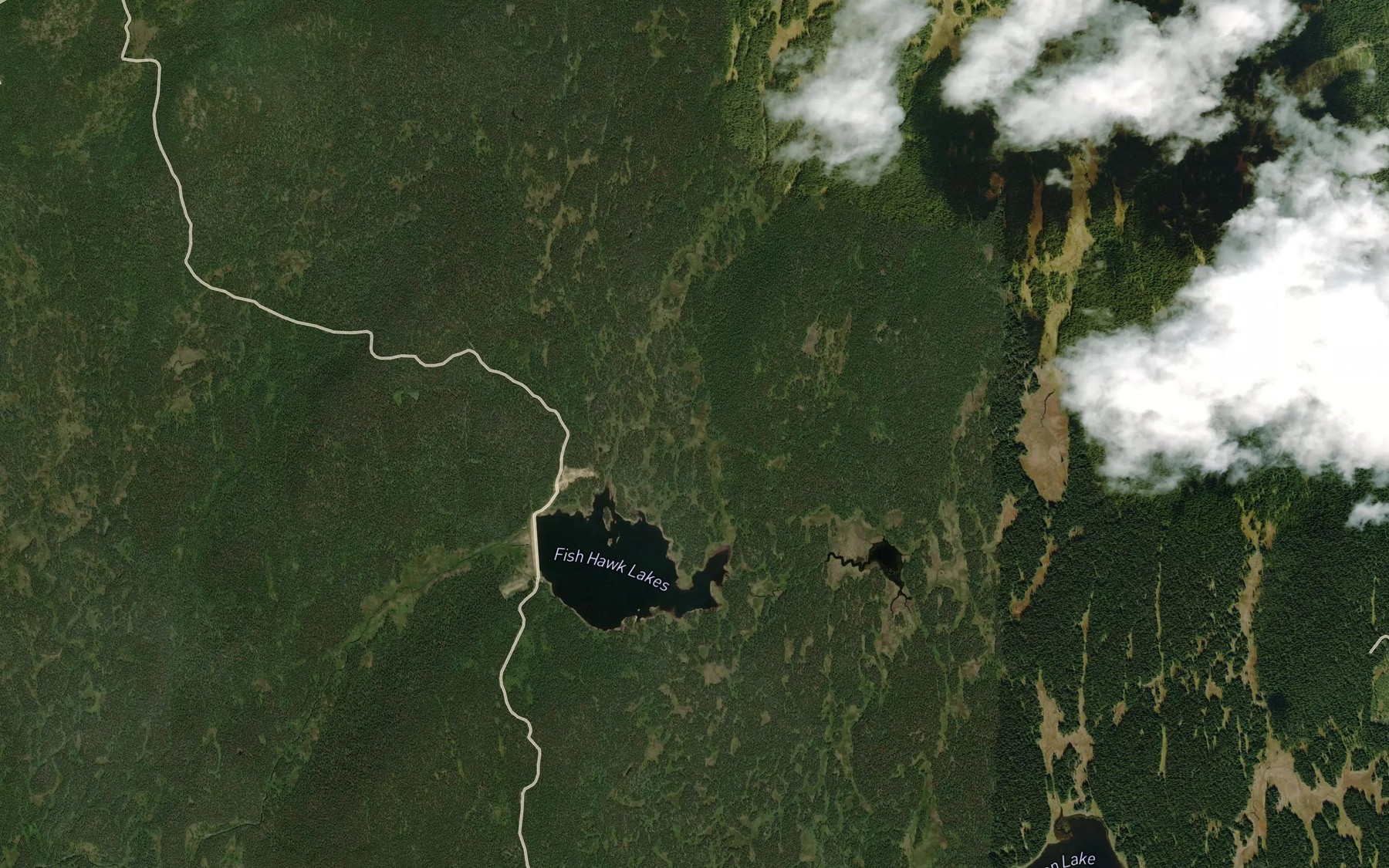 Satellite map of the Fish Hawk Lakes