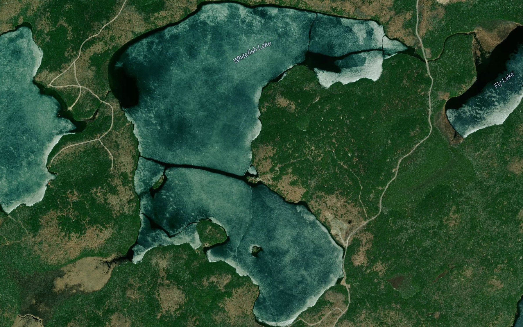 Satellite map of the Whitefish Lake