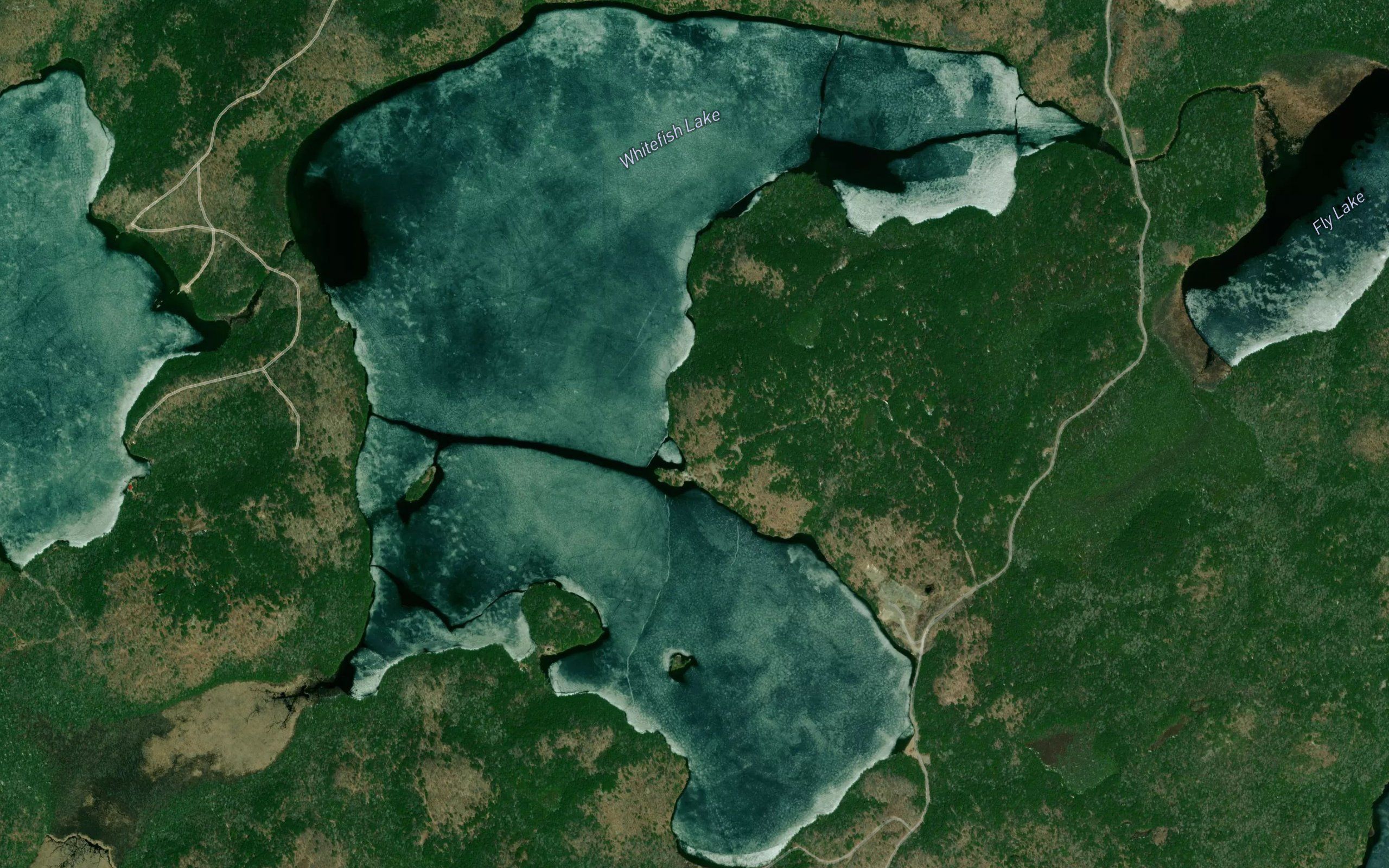 Whitefish Lake