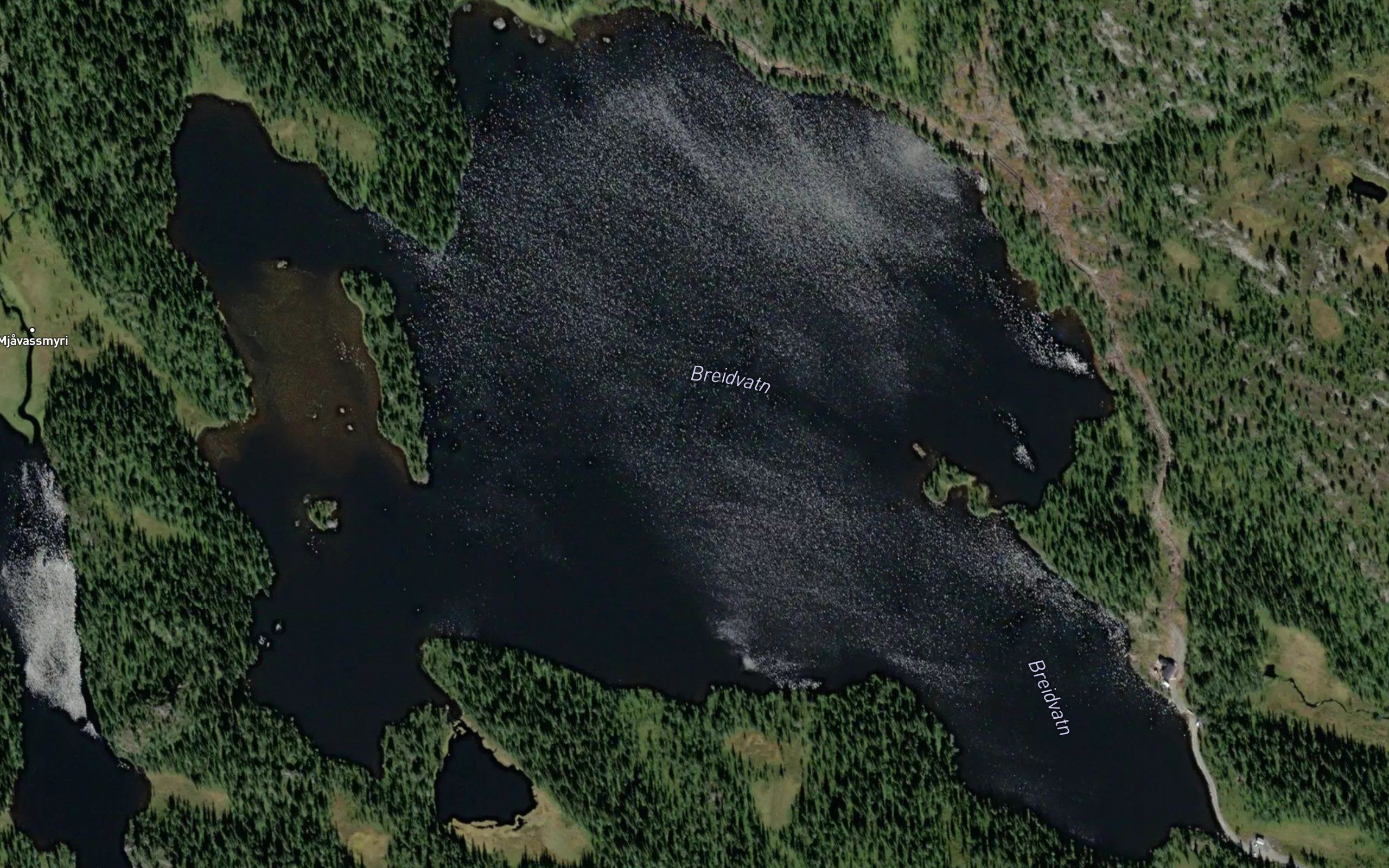 Breidvatn