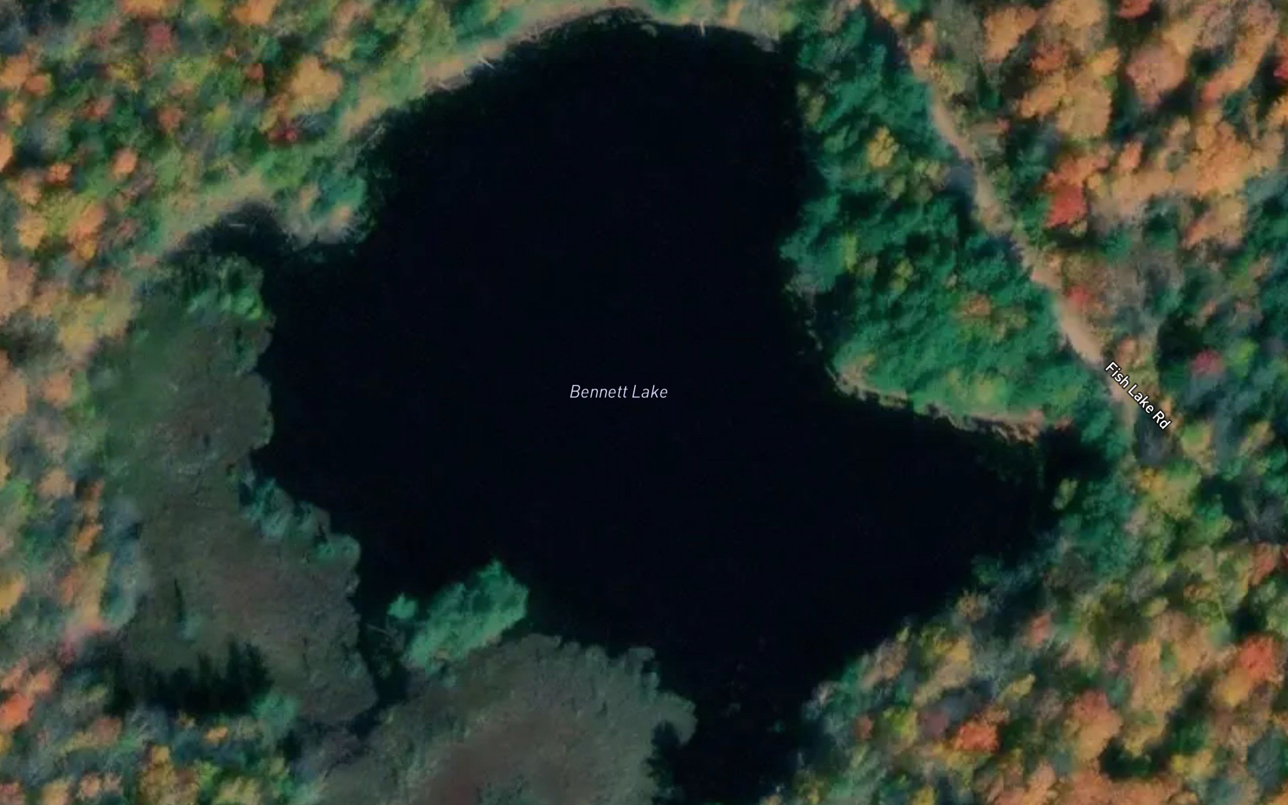 Bennett Lake