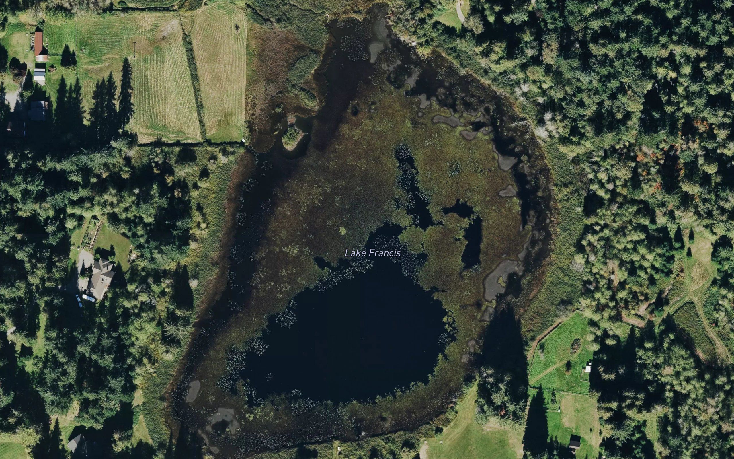 Francis Lake