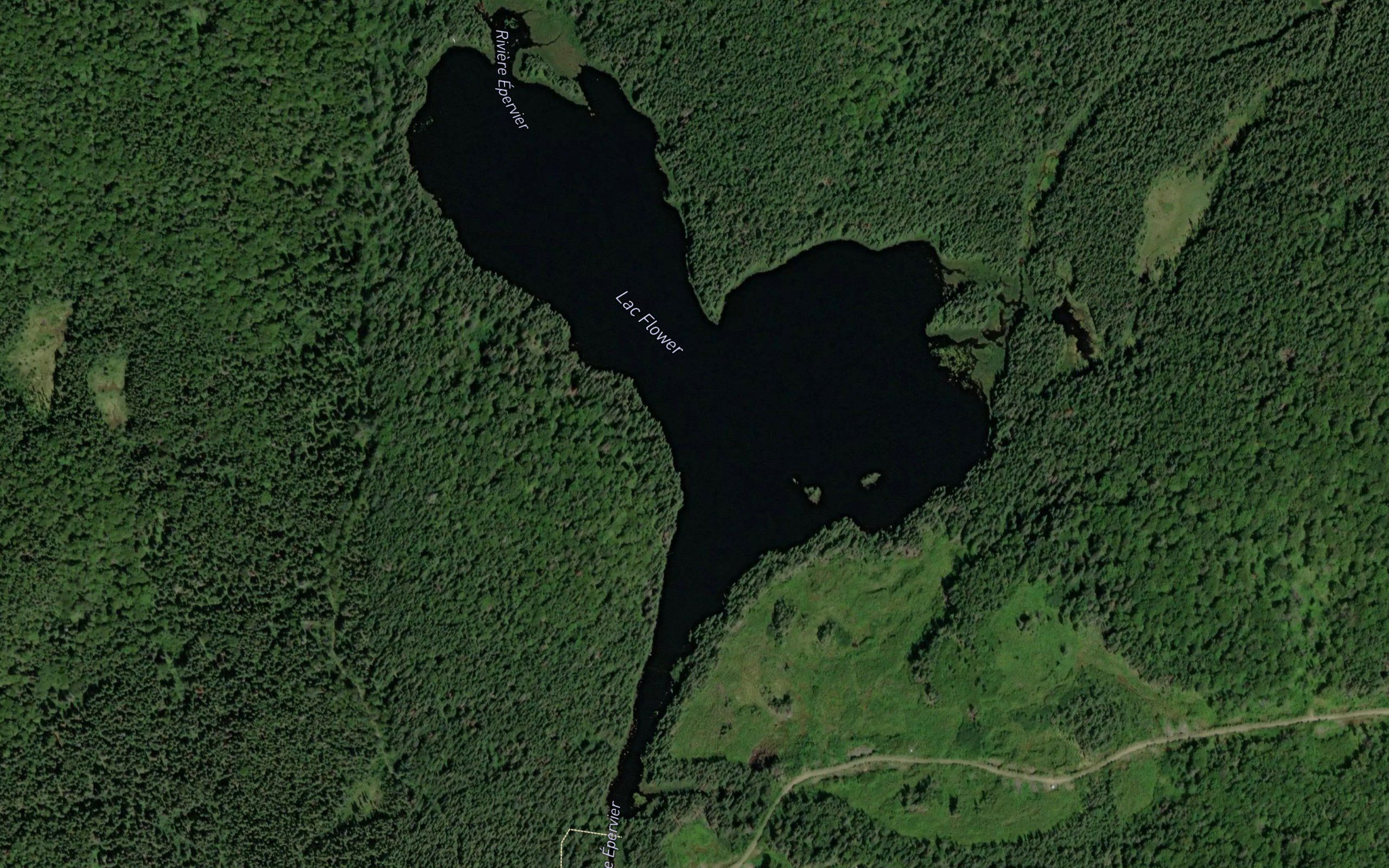 Lac Flower