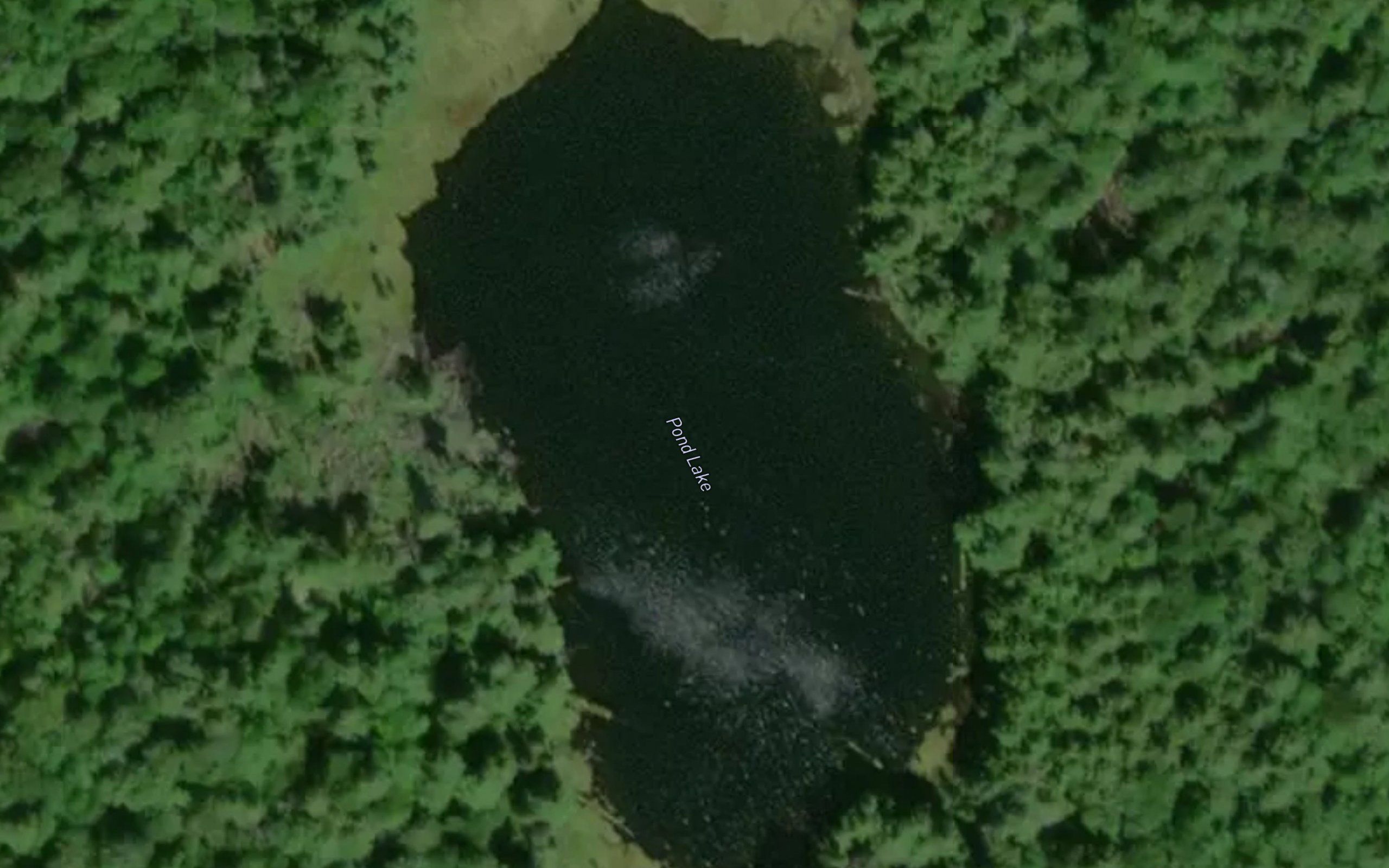 Pond Lake