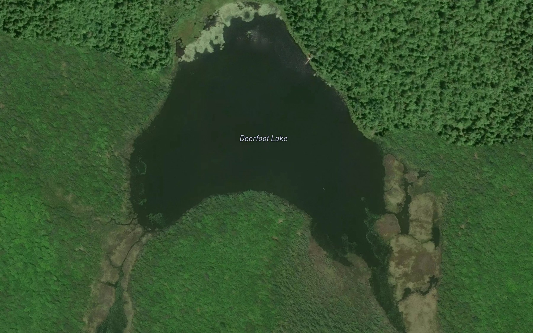 Satellite map of the Deerfoot Lake