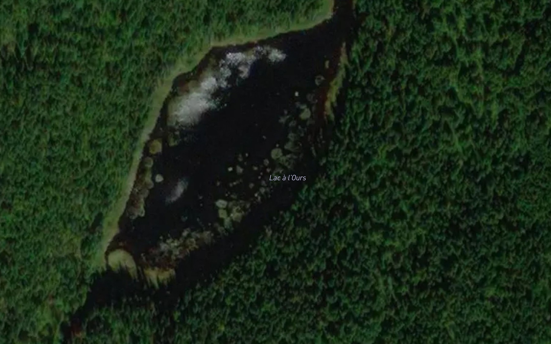 Satellite map of the Lac a l'Ours