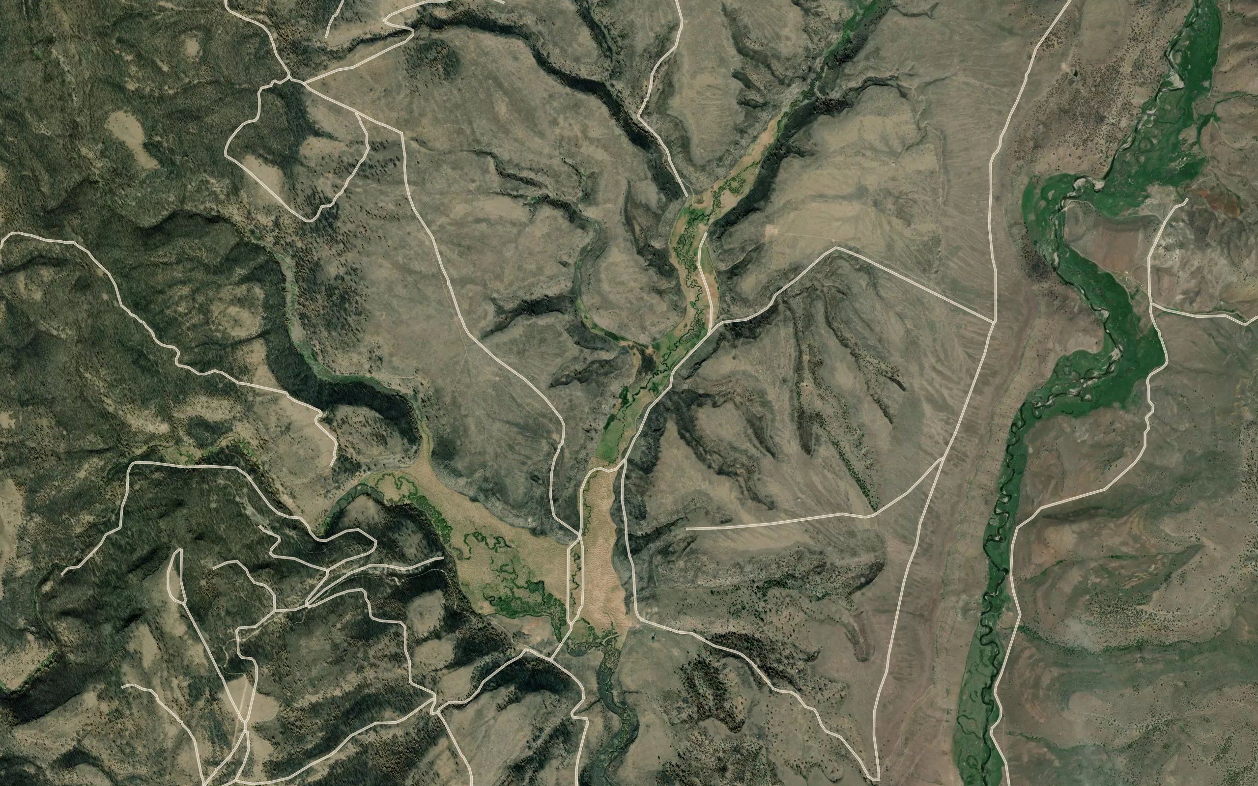 Lewis Creek