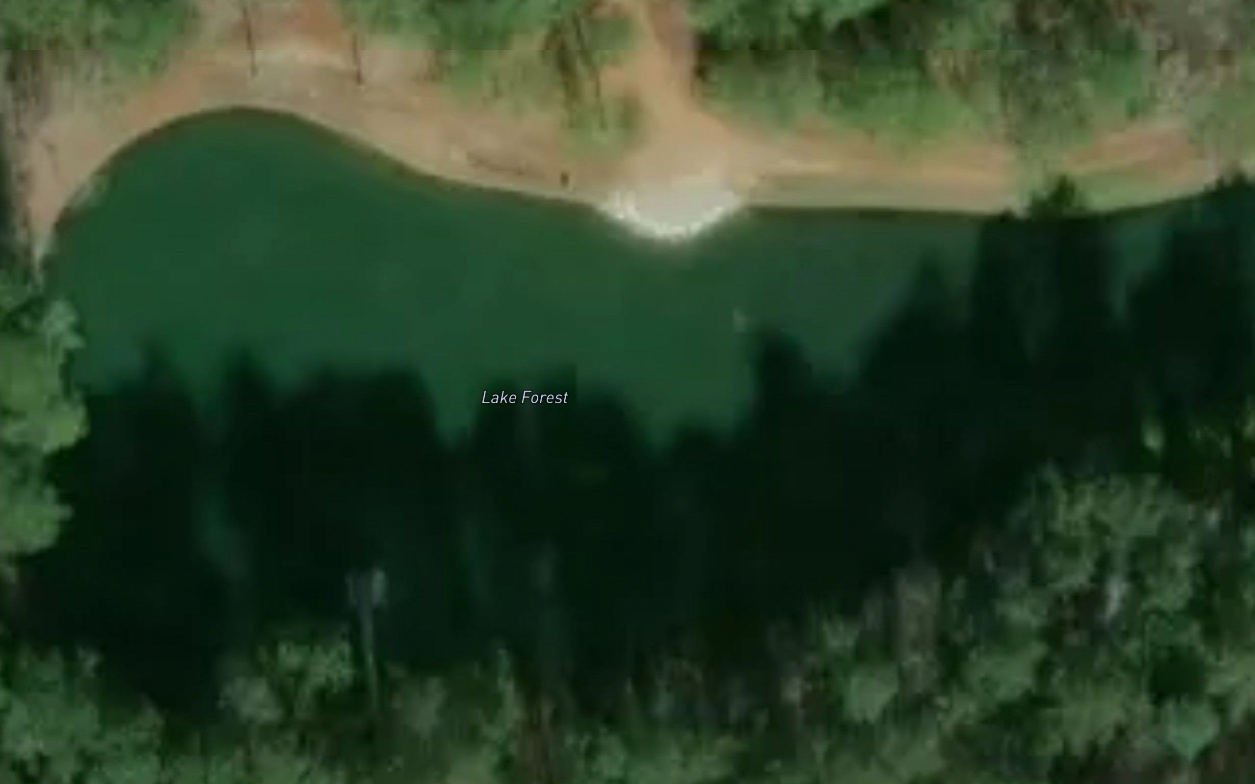 Lake Forest