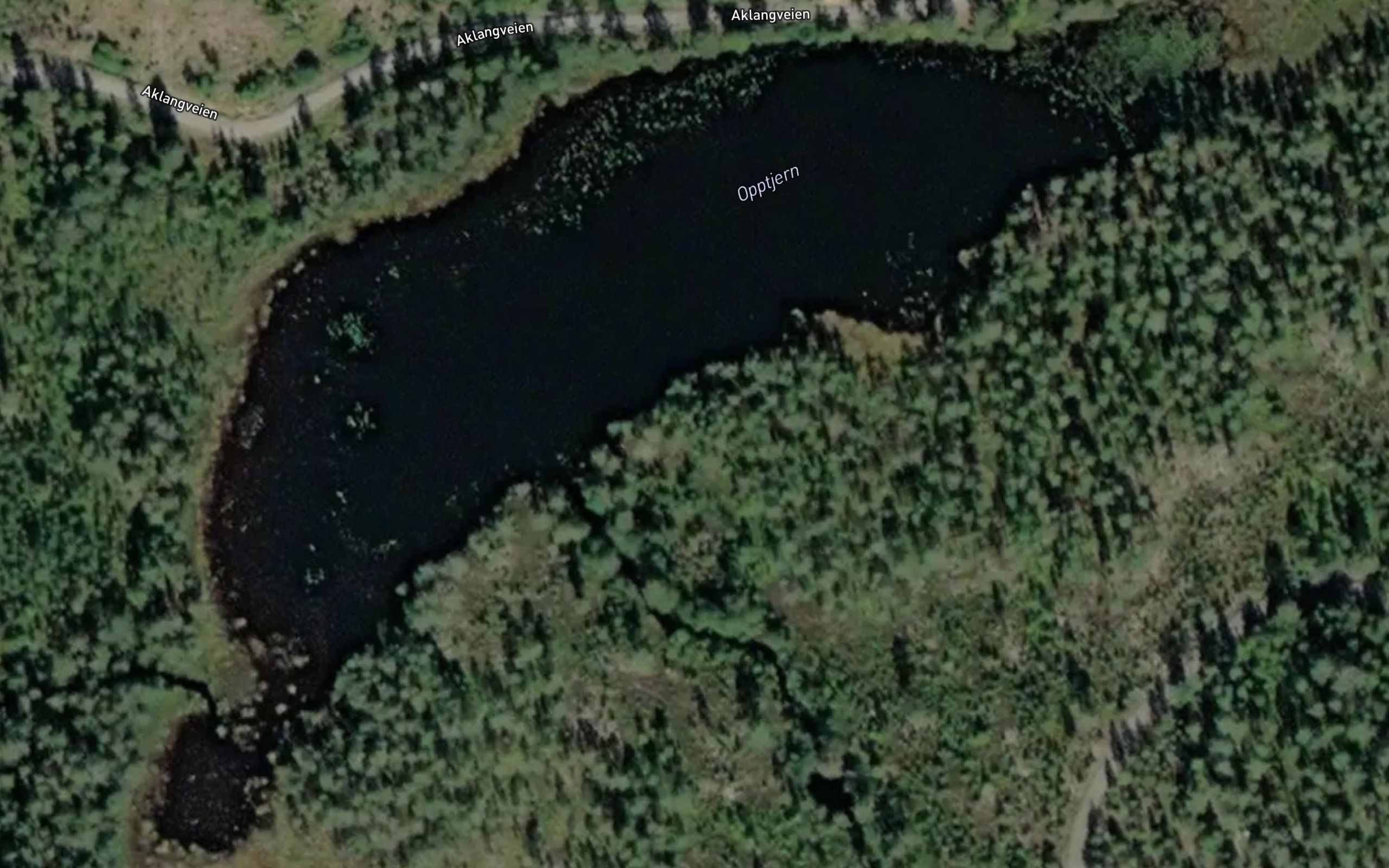 Opptjern