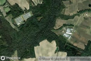 Hornet Swamp