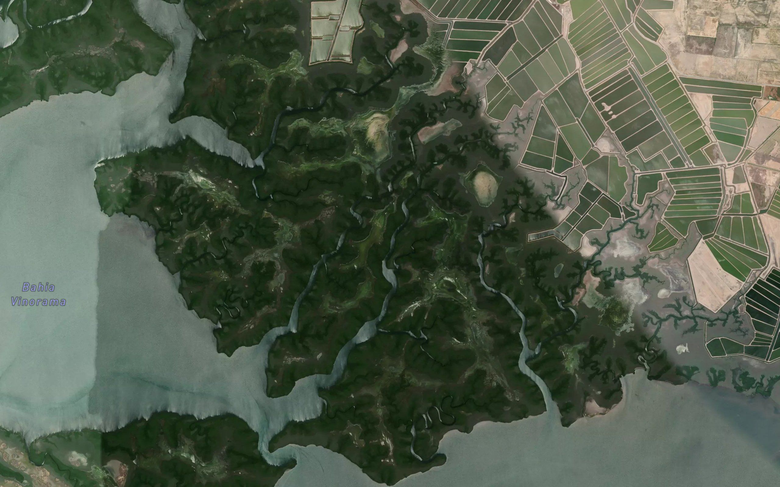 Estero Taicury