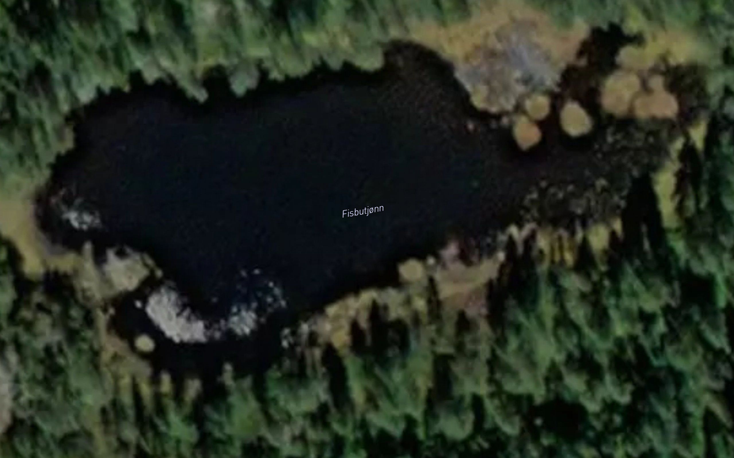 Fisbutjorn