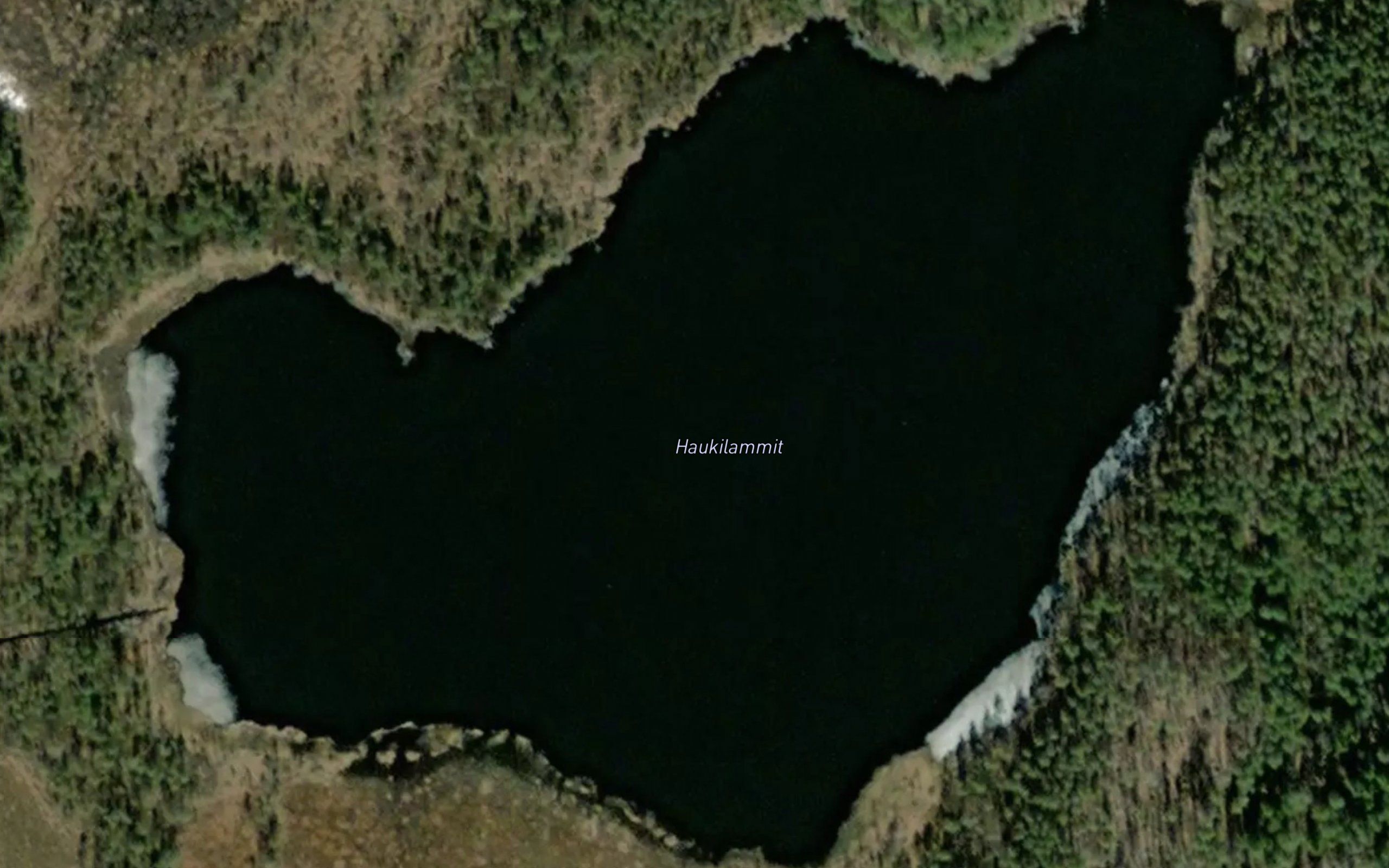 Haukilammit