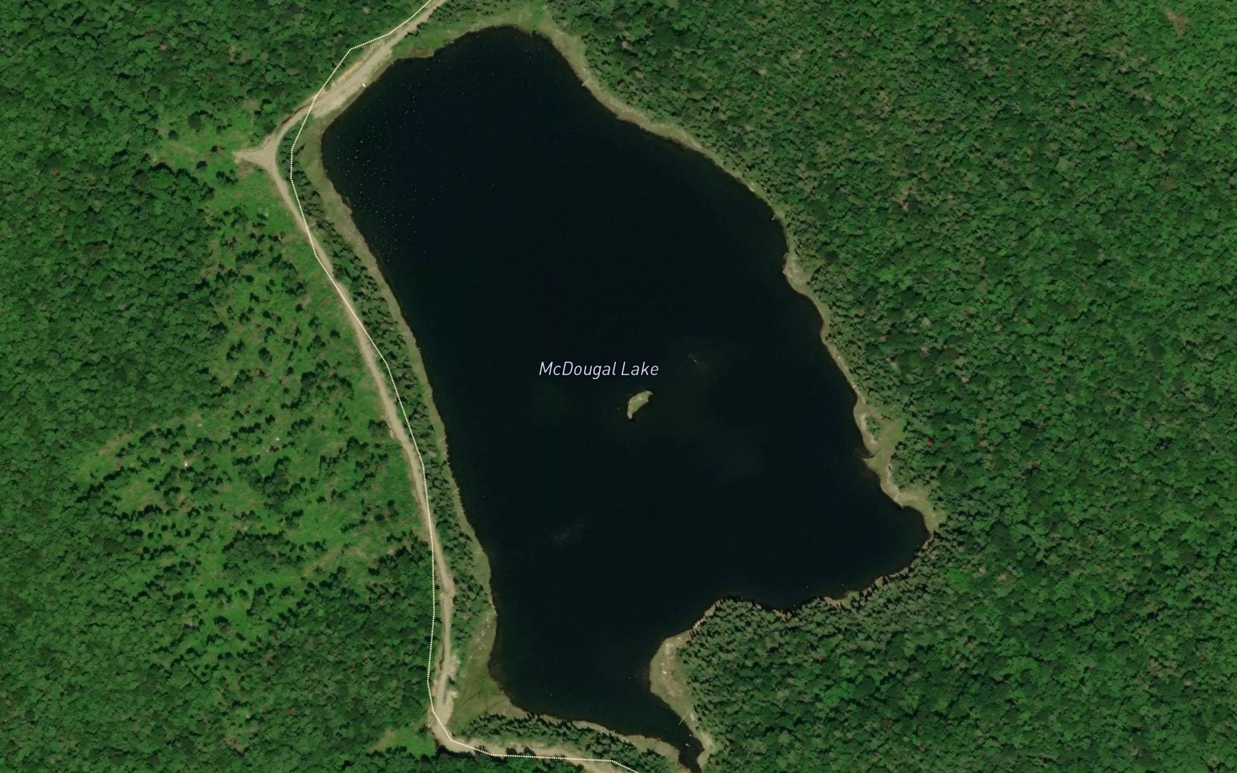 Satellite map of the McDougal Lake
