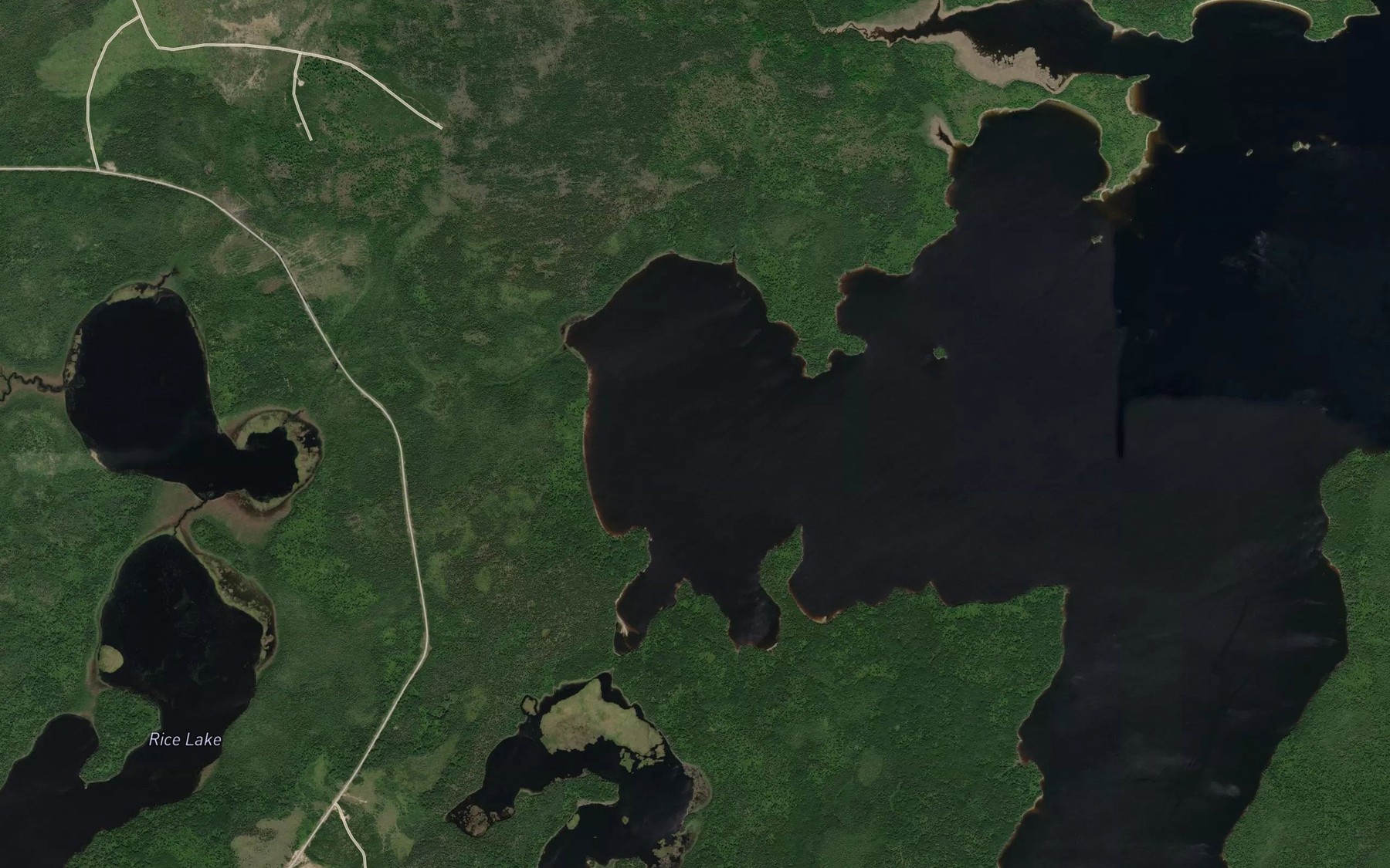 Satellite map of the Fish Hook Bay