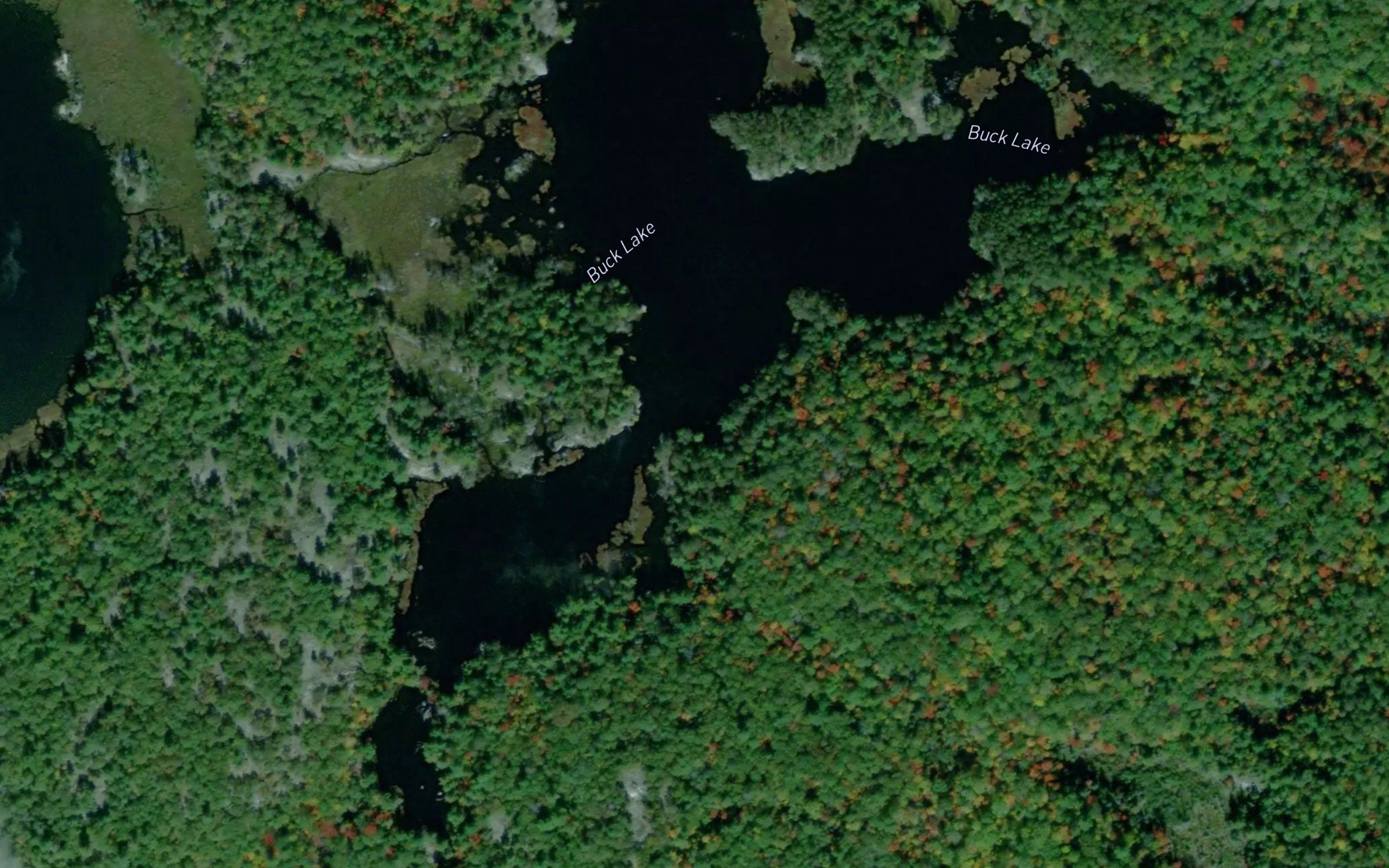 Buck Lake