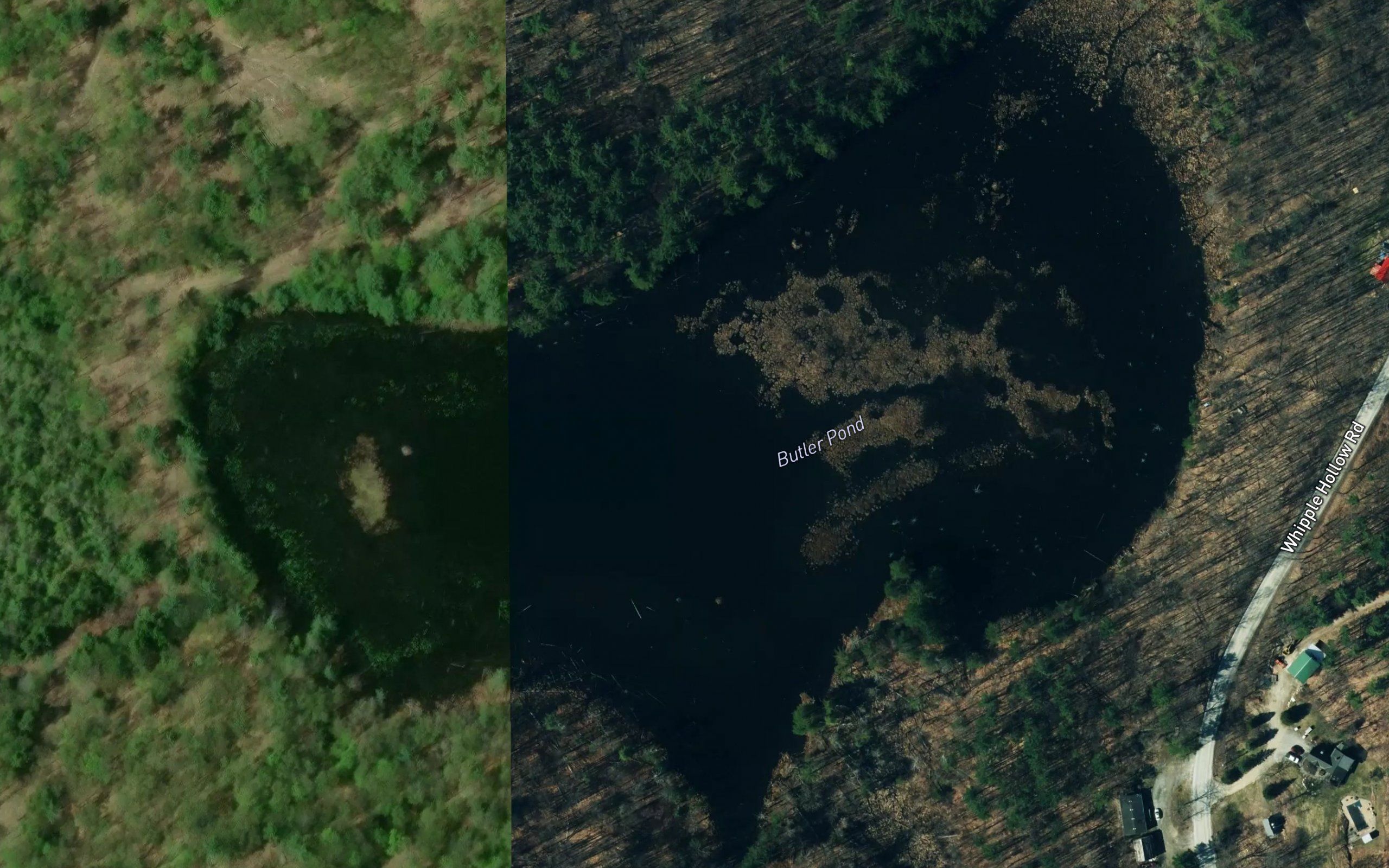 Butler Pond