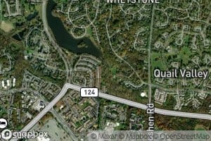 Great Blue Heron Rill