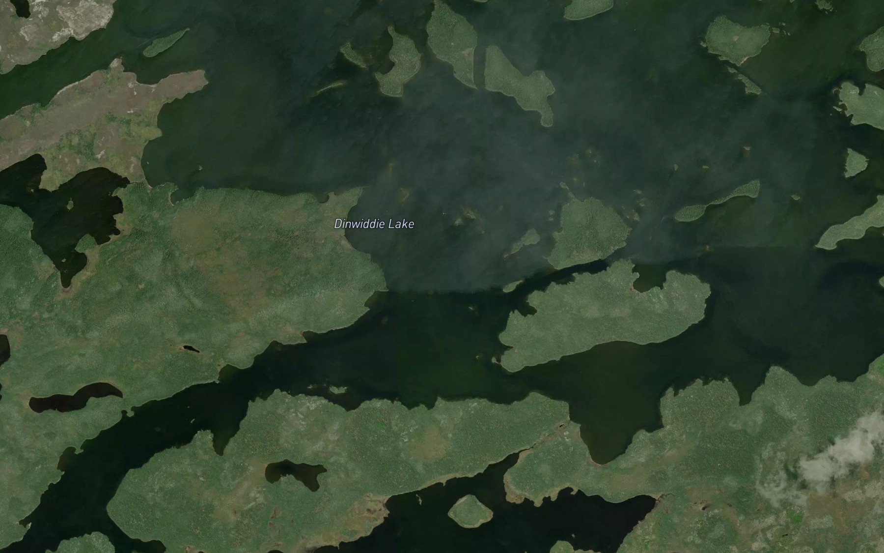 Satellite map of the Dinwiddie Lake