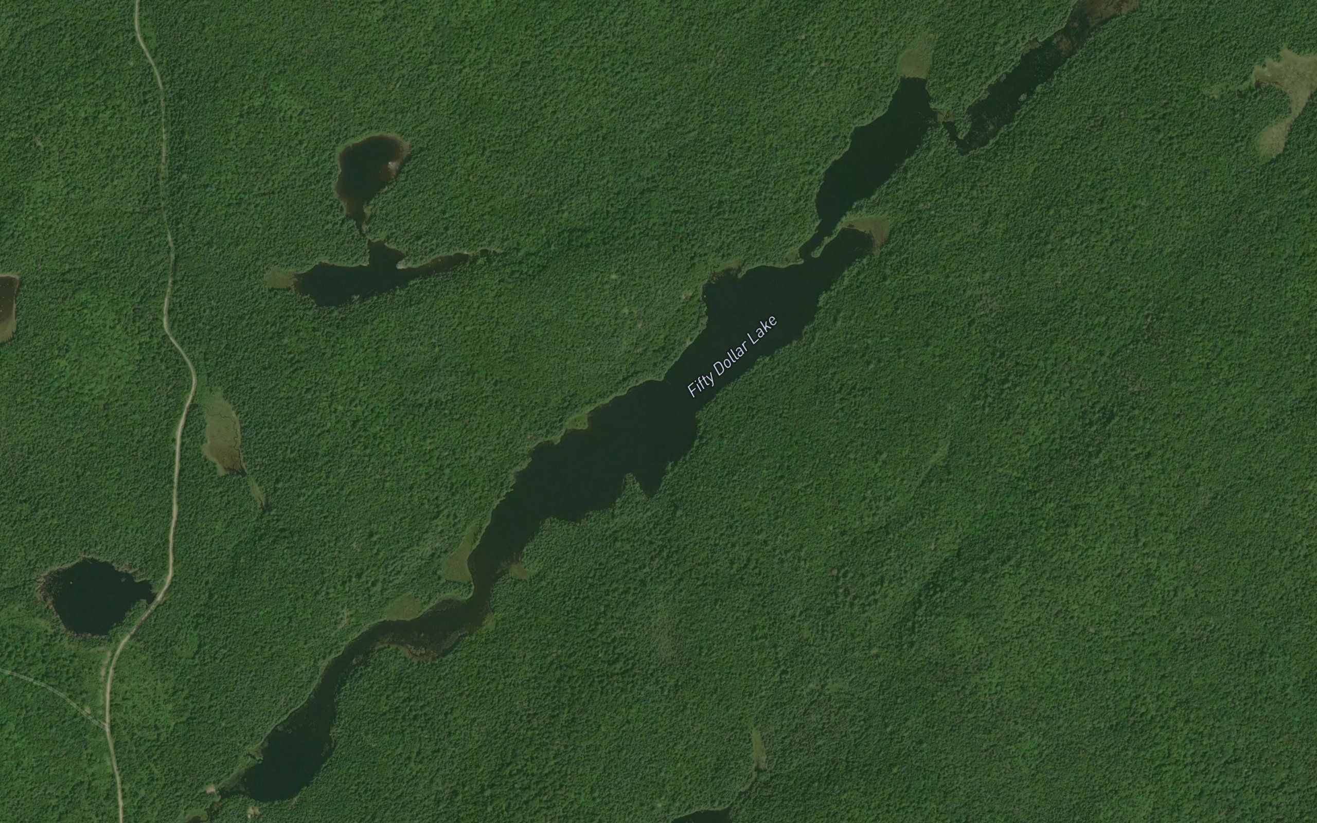 Fifty Dollar Lake