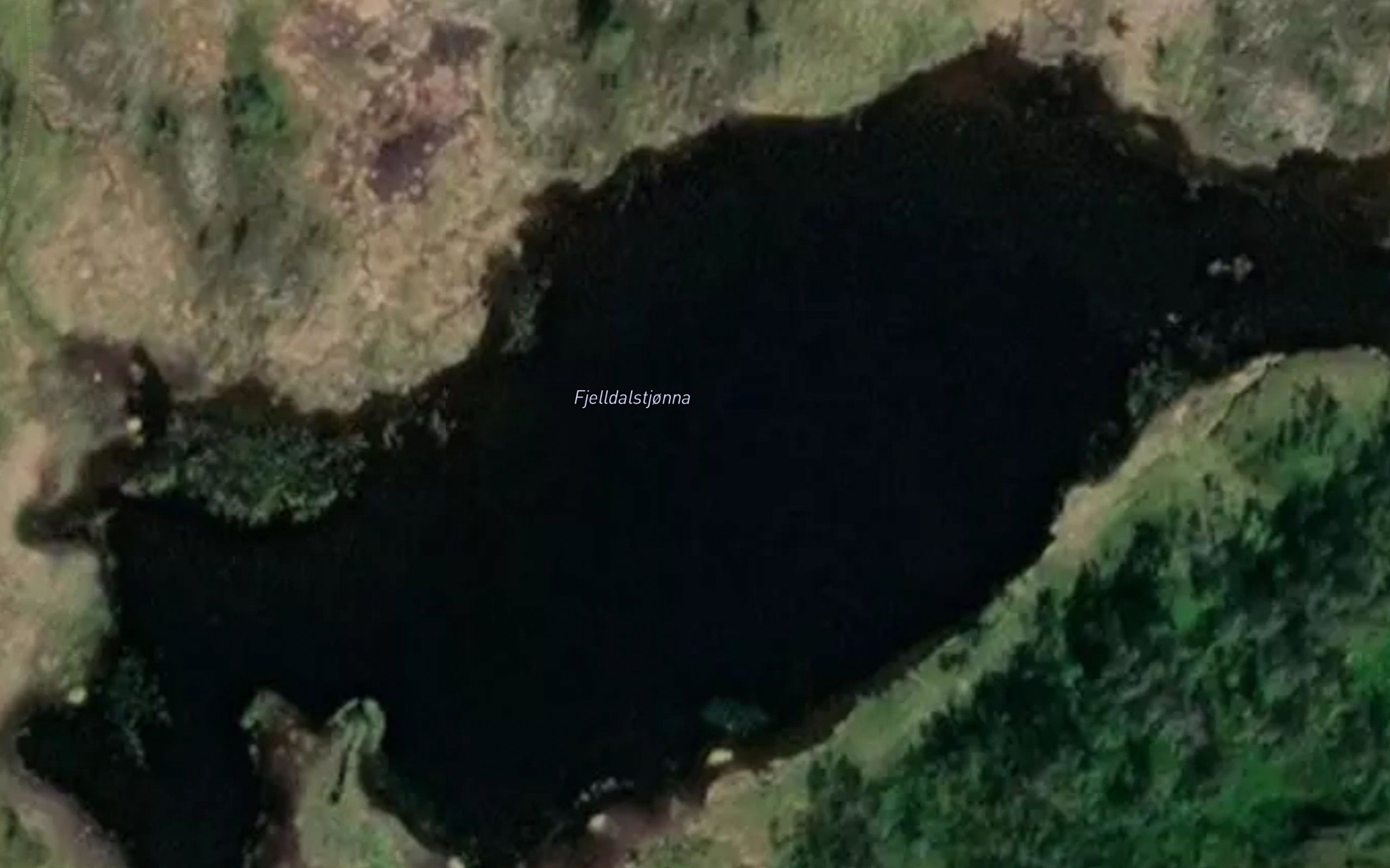 Fjelldalstjonna